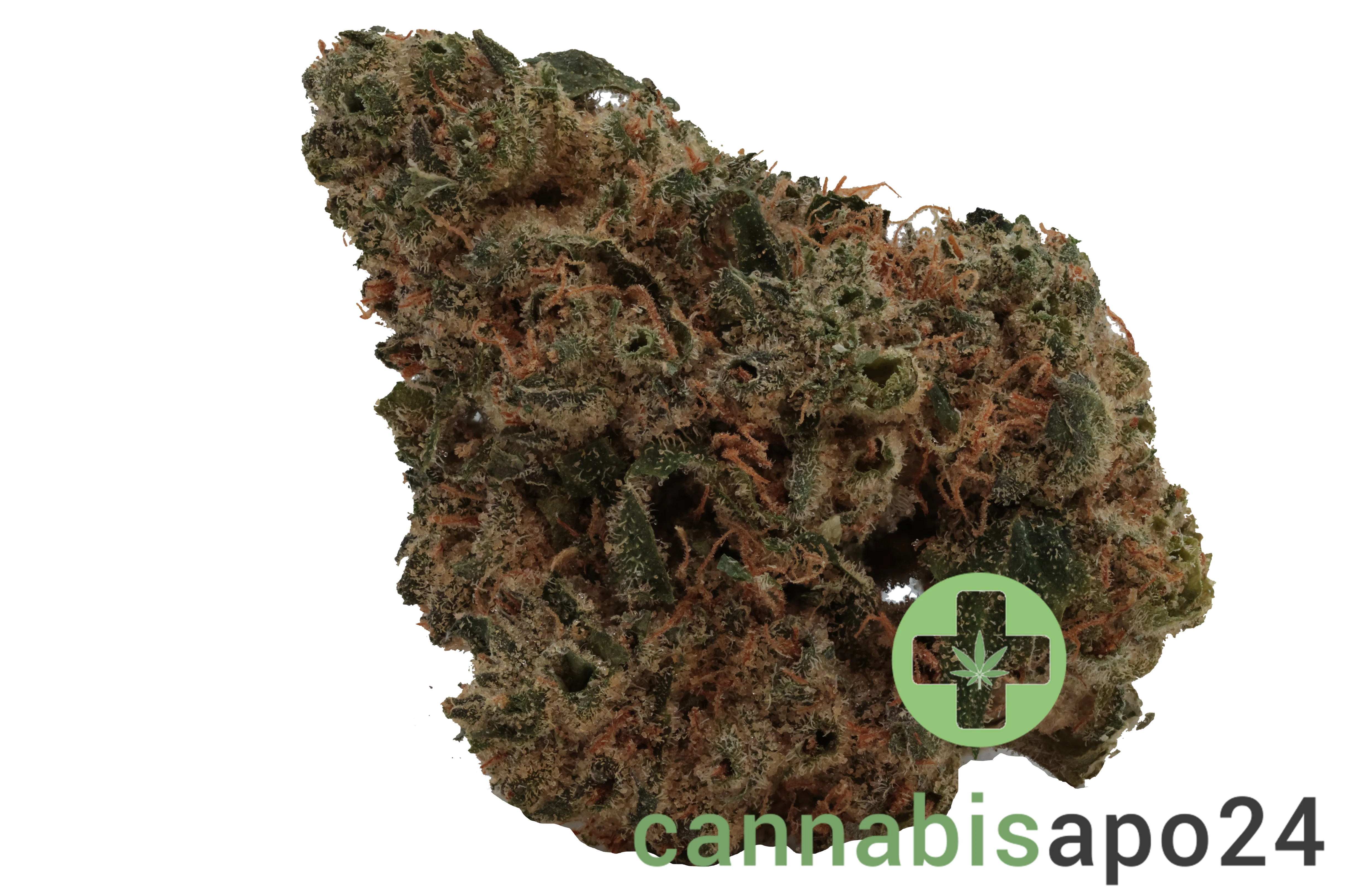Pedanios 31/1 PND CA - Pink Diesel