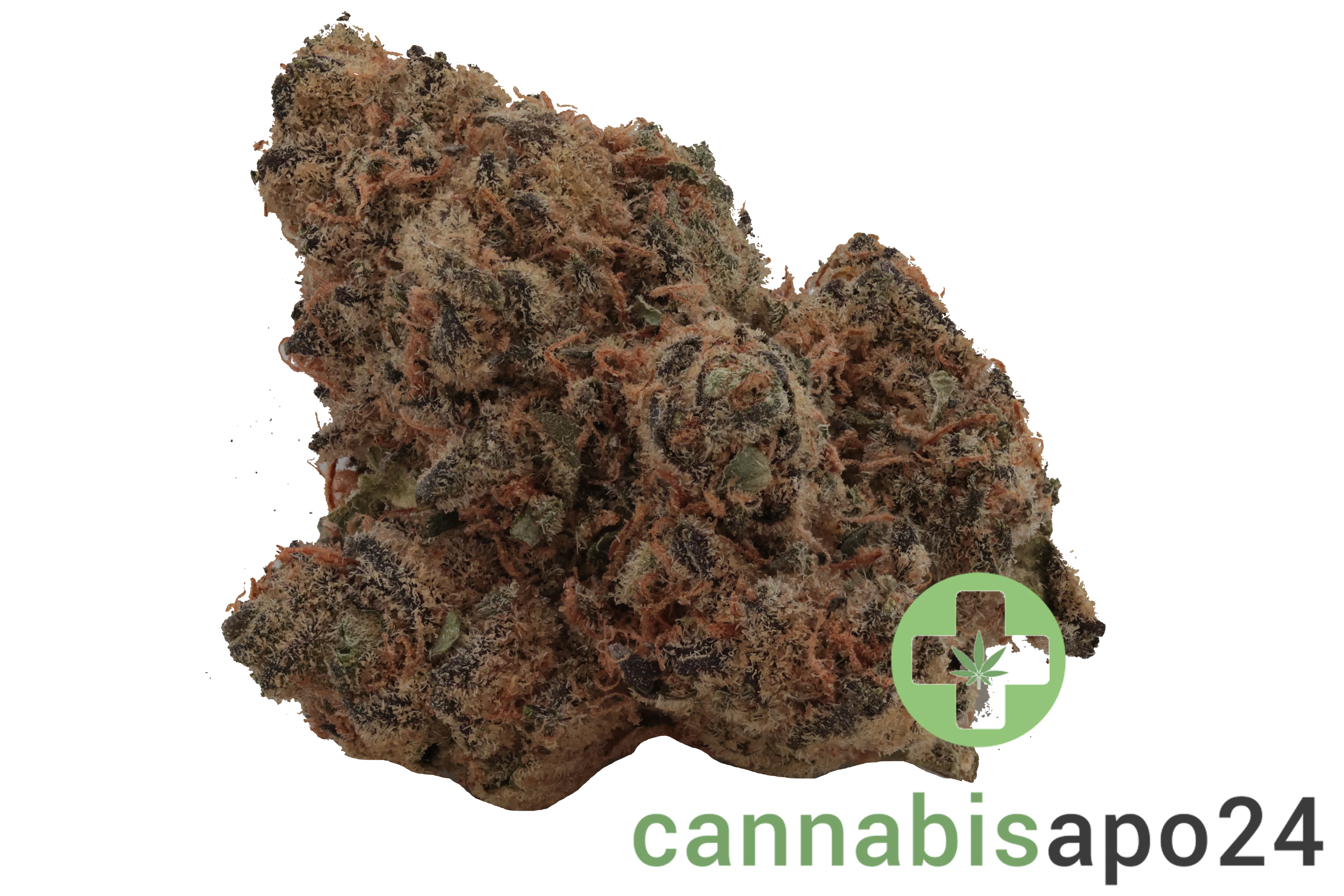 Remexian 27/1 FCO Frosted Cookies