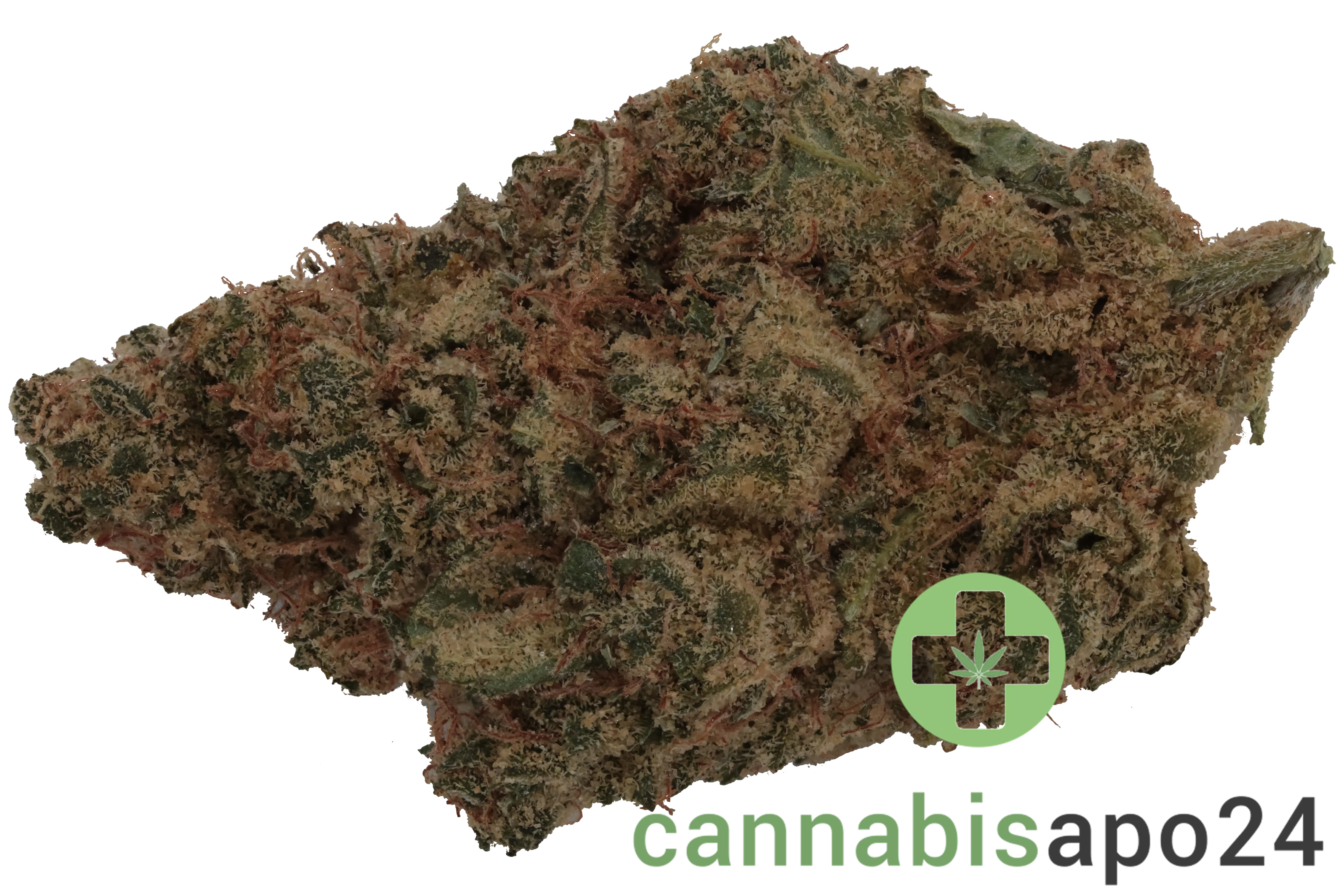 Remexian 27/1 GCC CCK Cold Creek Kush