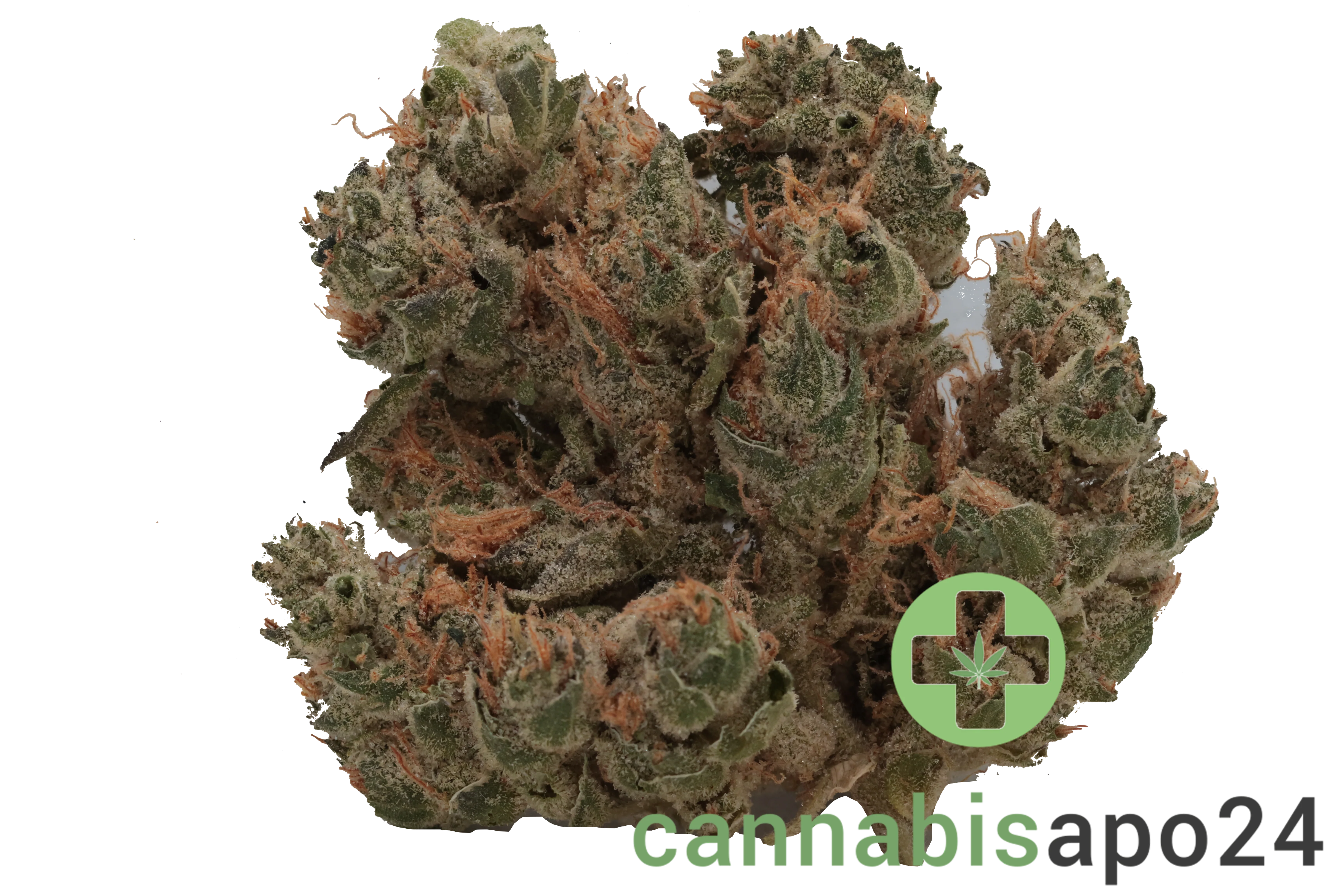 Remexian 30/1 CHE Chem Cookies