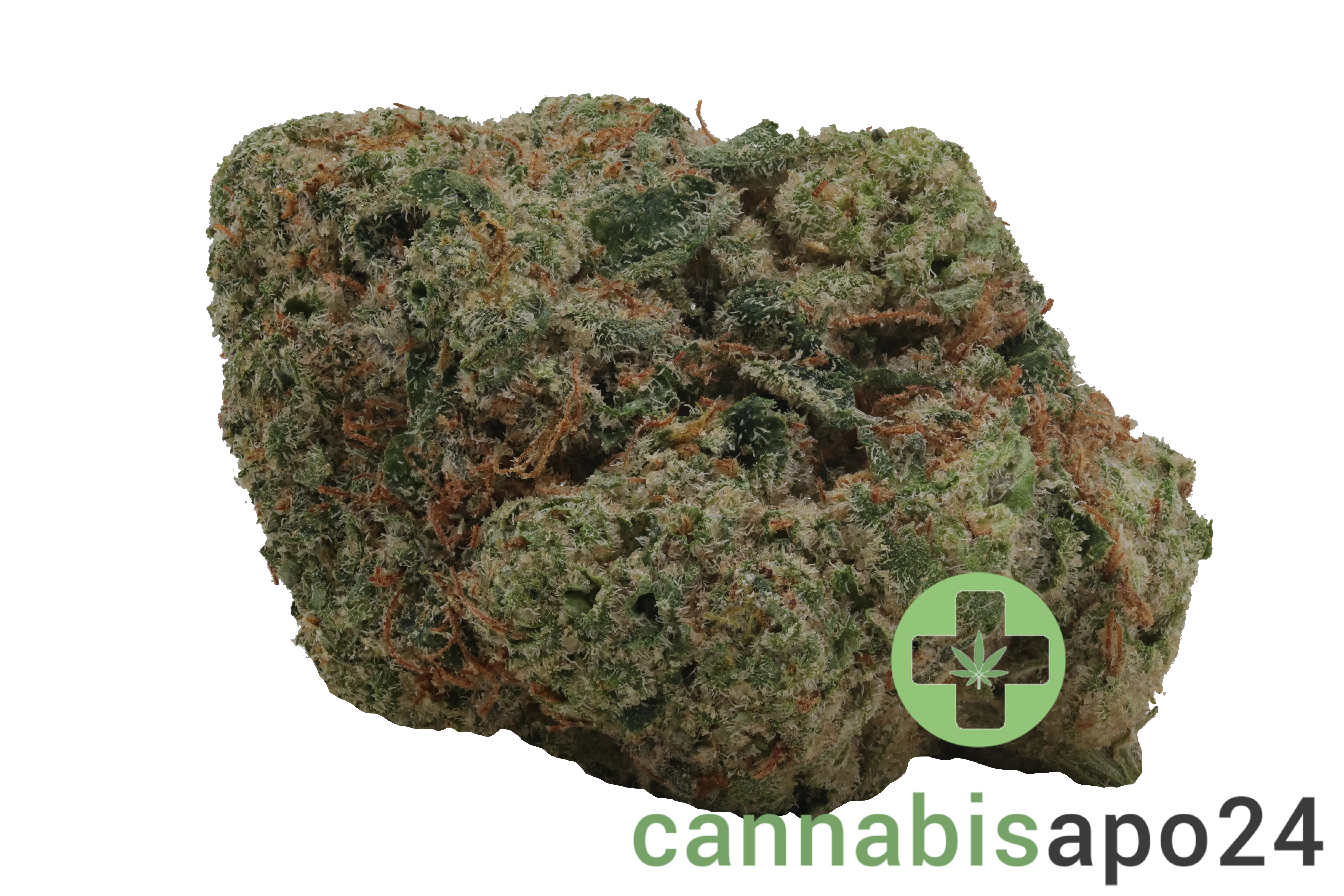 San Raf 29/1 PNK Pink OG Kush