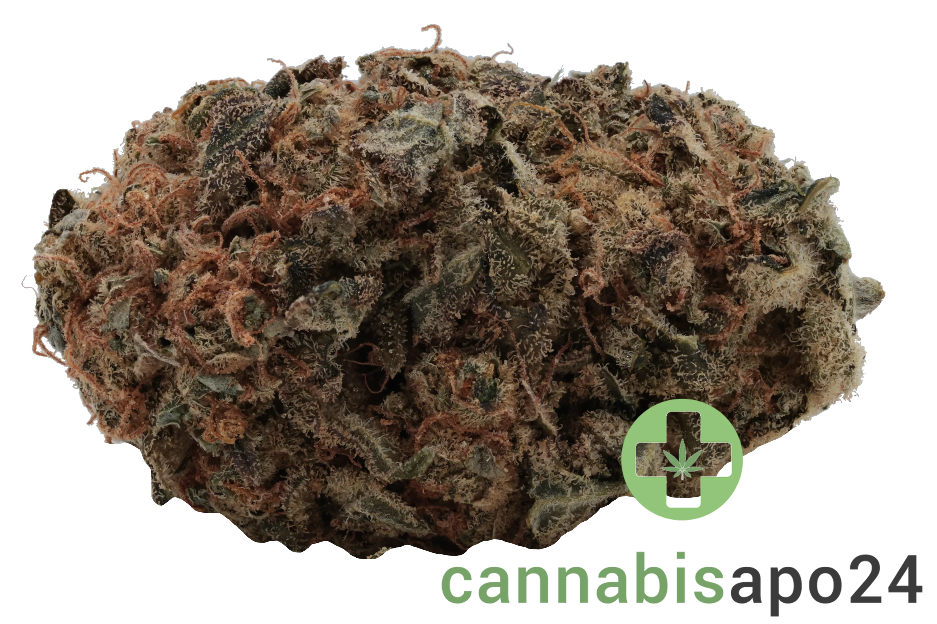 Sibanax 28/1 SHB Shishkaberry