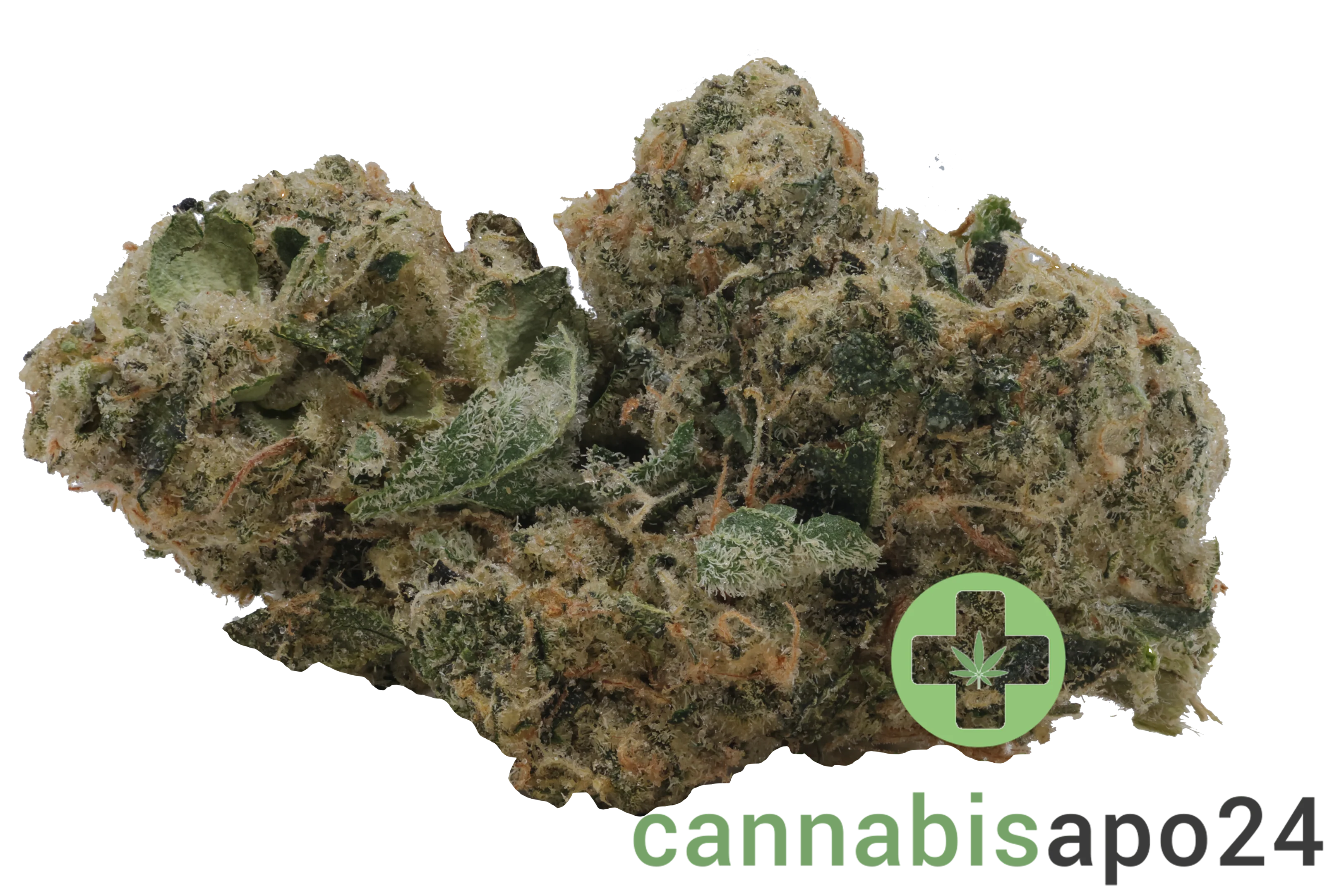 Sinceritas Sativa Auris 27/1 Cosmic MAC