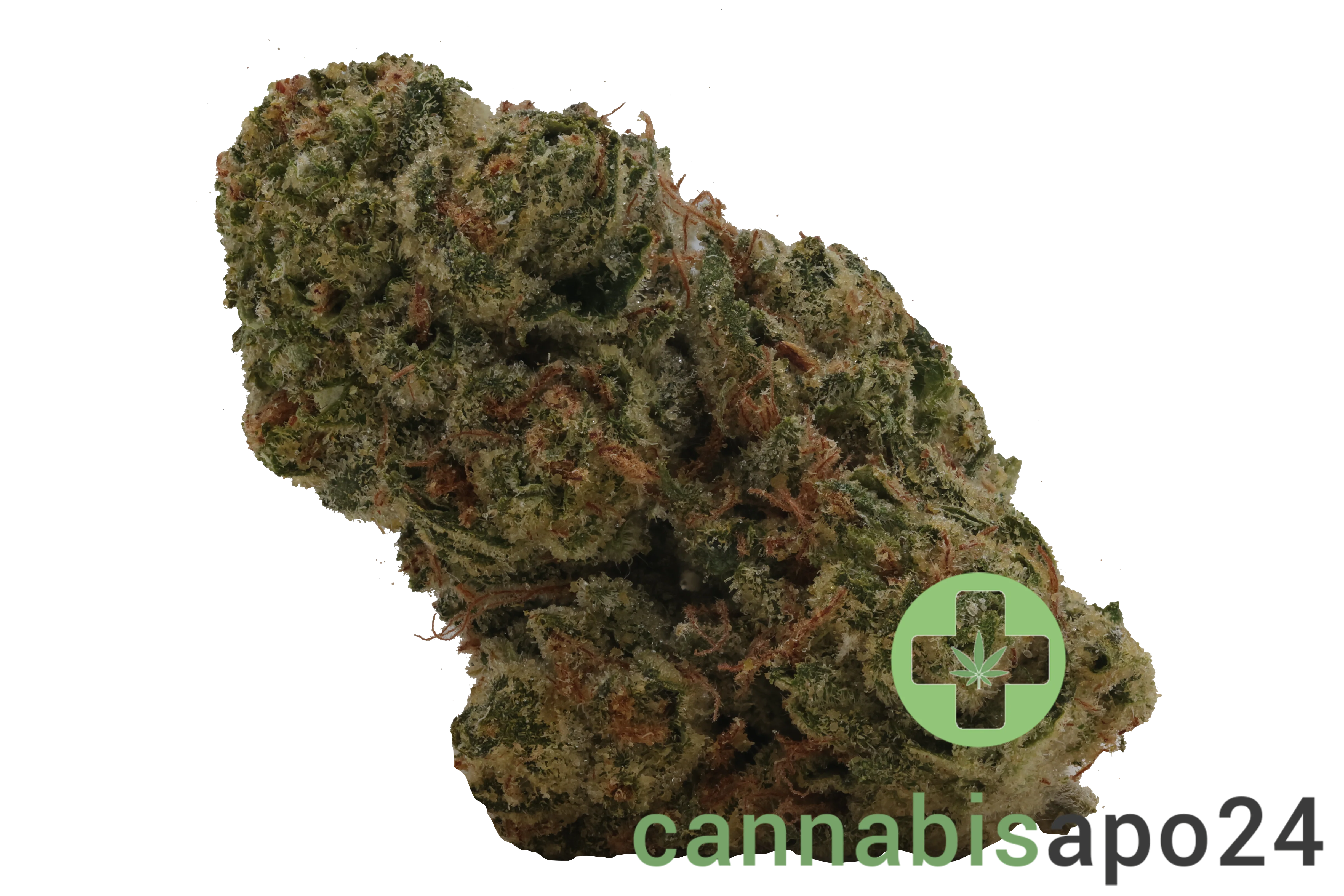 slouu 30/1 CBC CA Citron Biker Cookies