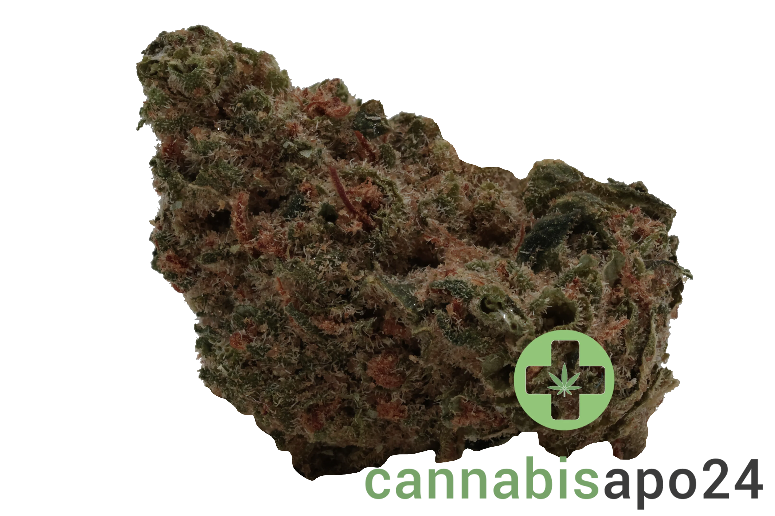 Social Choice! 18/1 SEN GTH Ghost Train Haze
