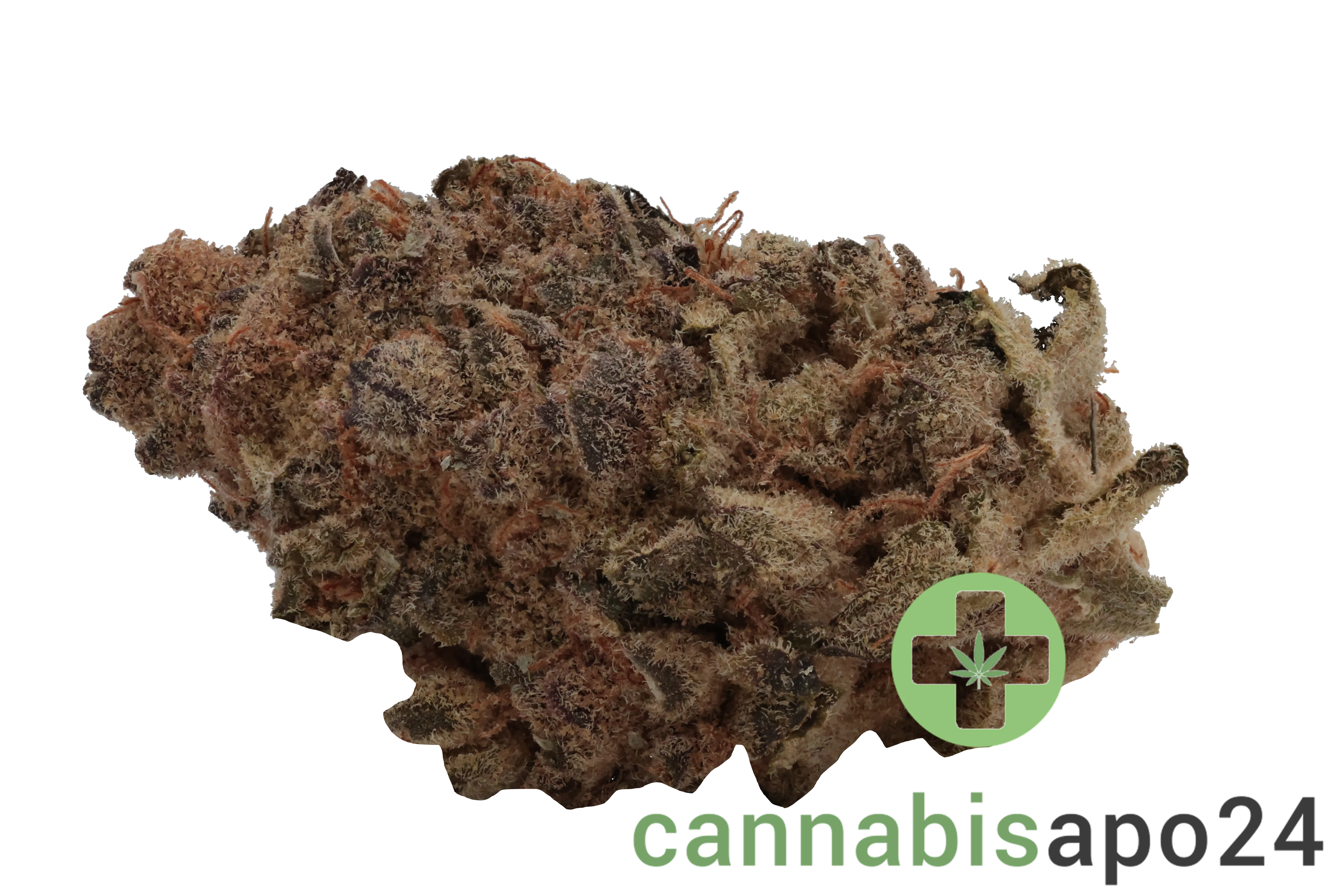 Soma OG 24/1 CC Black Cherry Punch