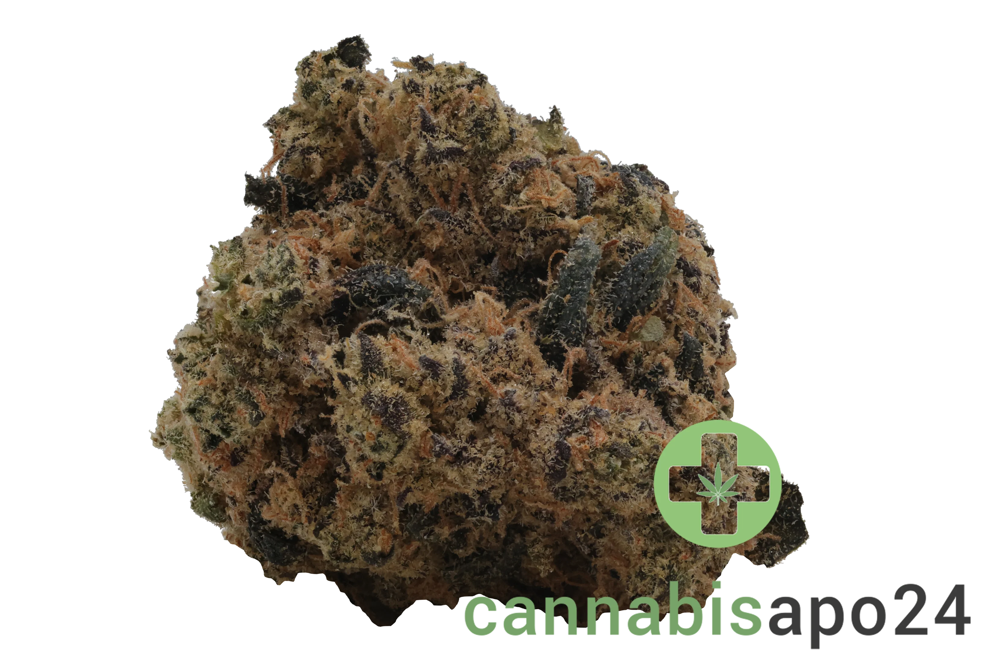 Soma OG 32/1 PF Spritzer