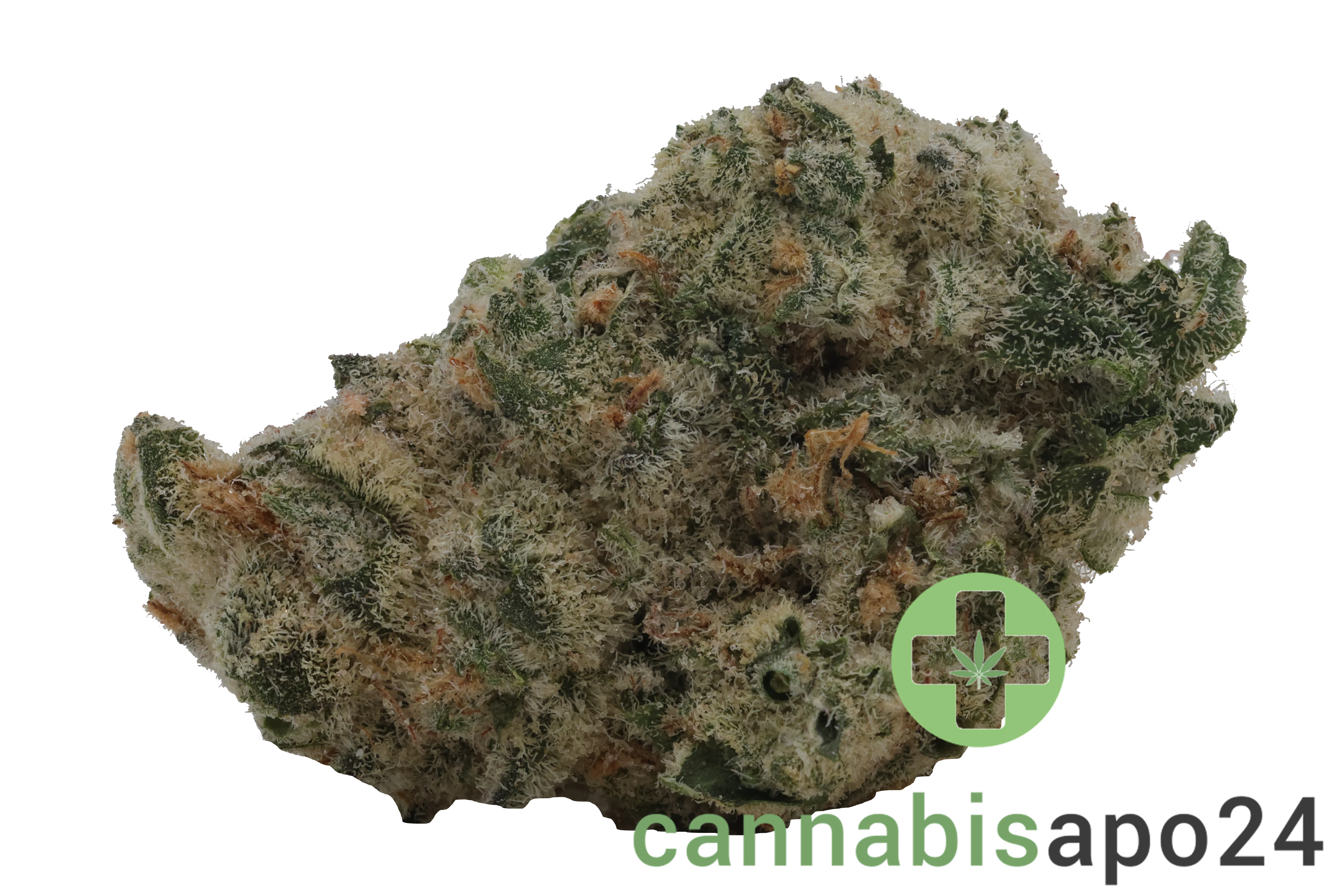 THC Akut MG 24 BCP Black Cherry Punch