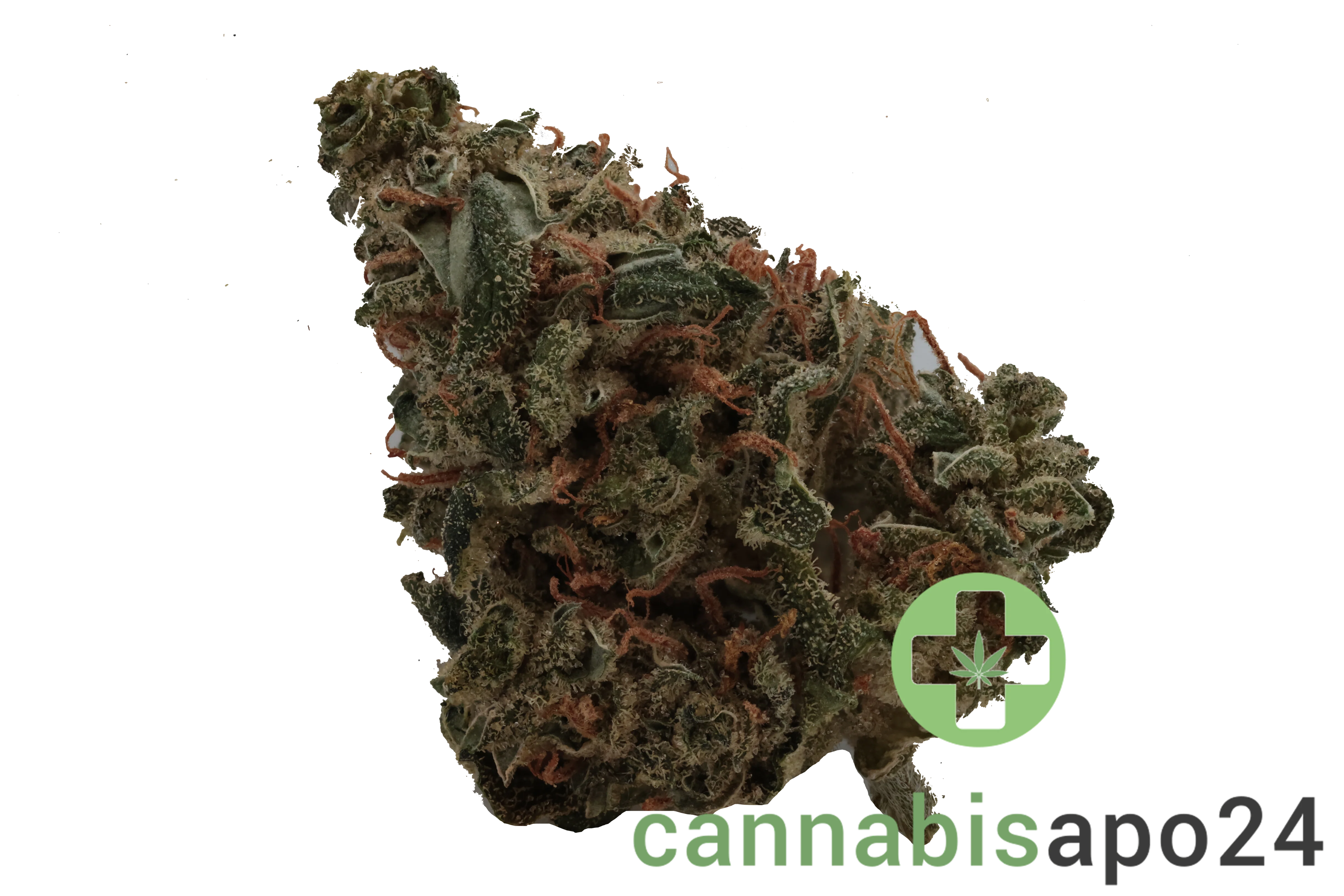 Tilray Craft 25/0 Jean Guy