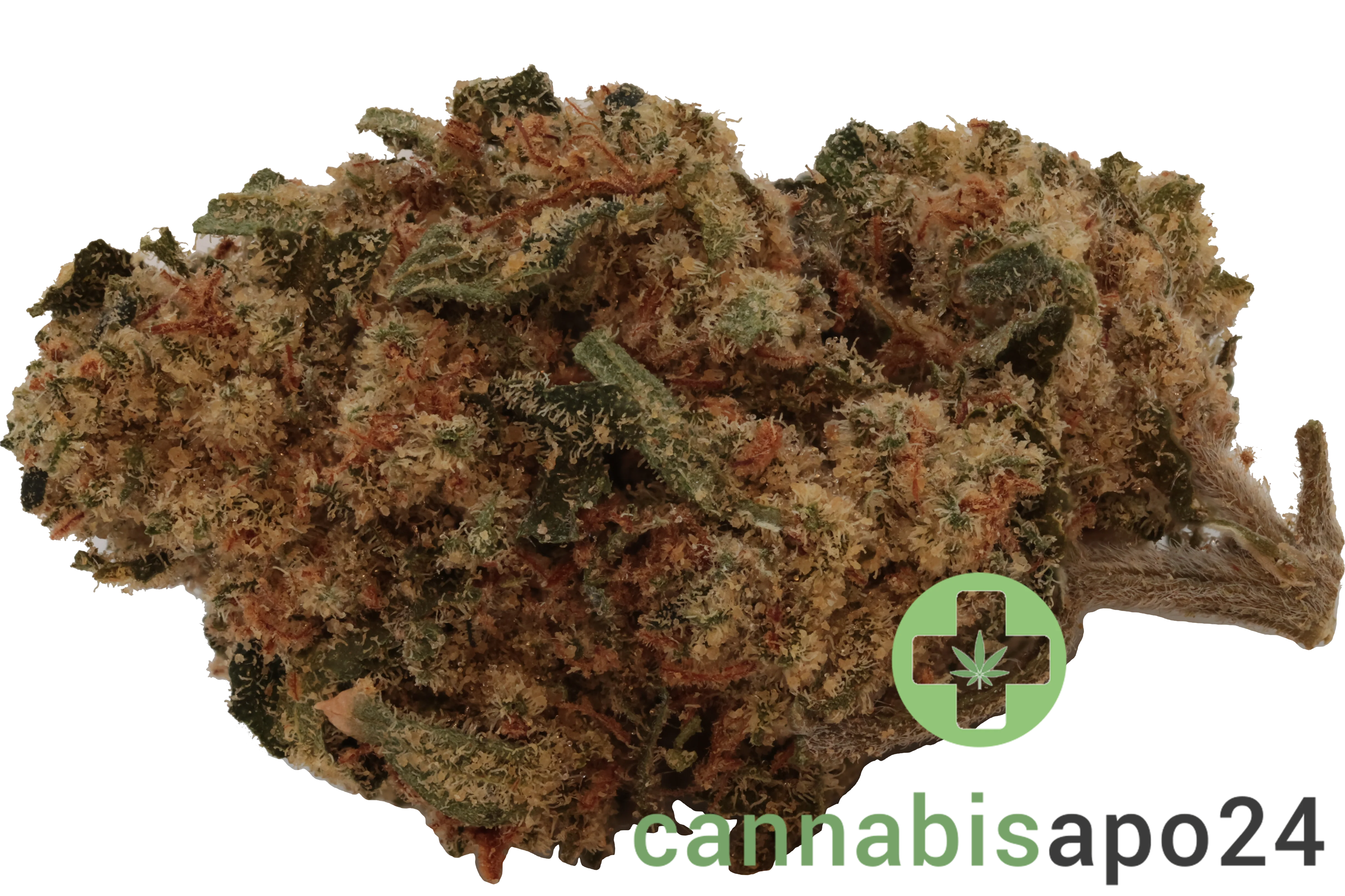 Tilray Craft THC25 BBD Blueberry Donuts 29