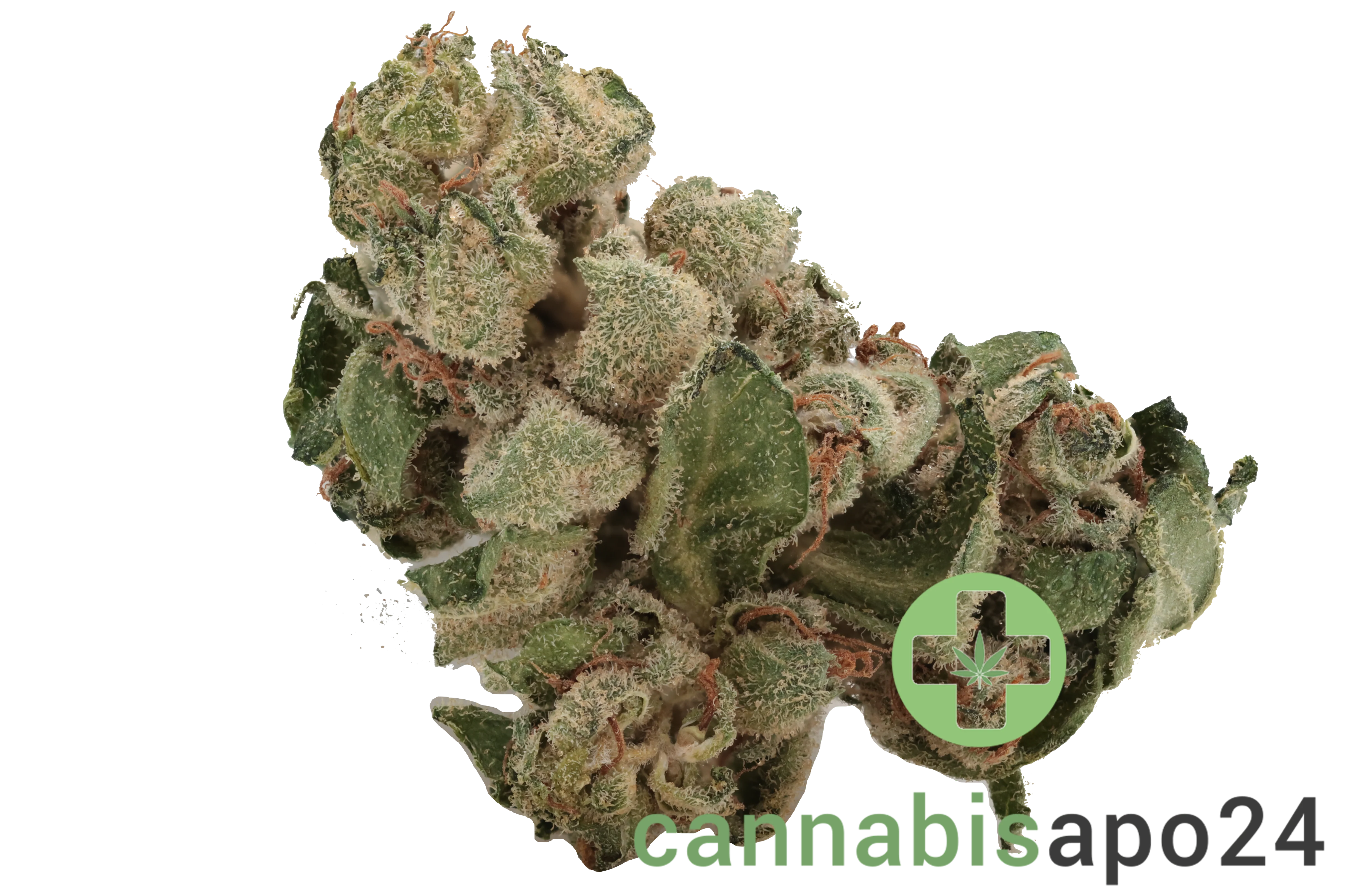 Tilray THC18 Spotlight Porto - Black Tuna