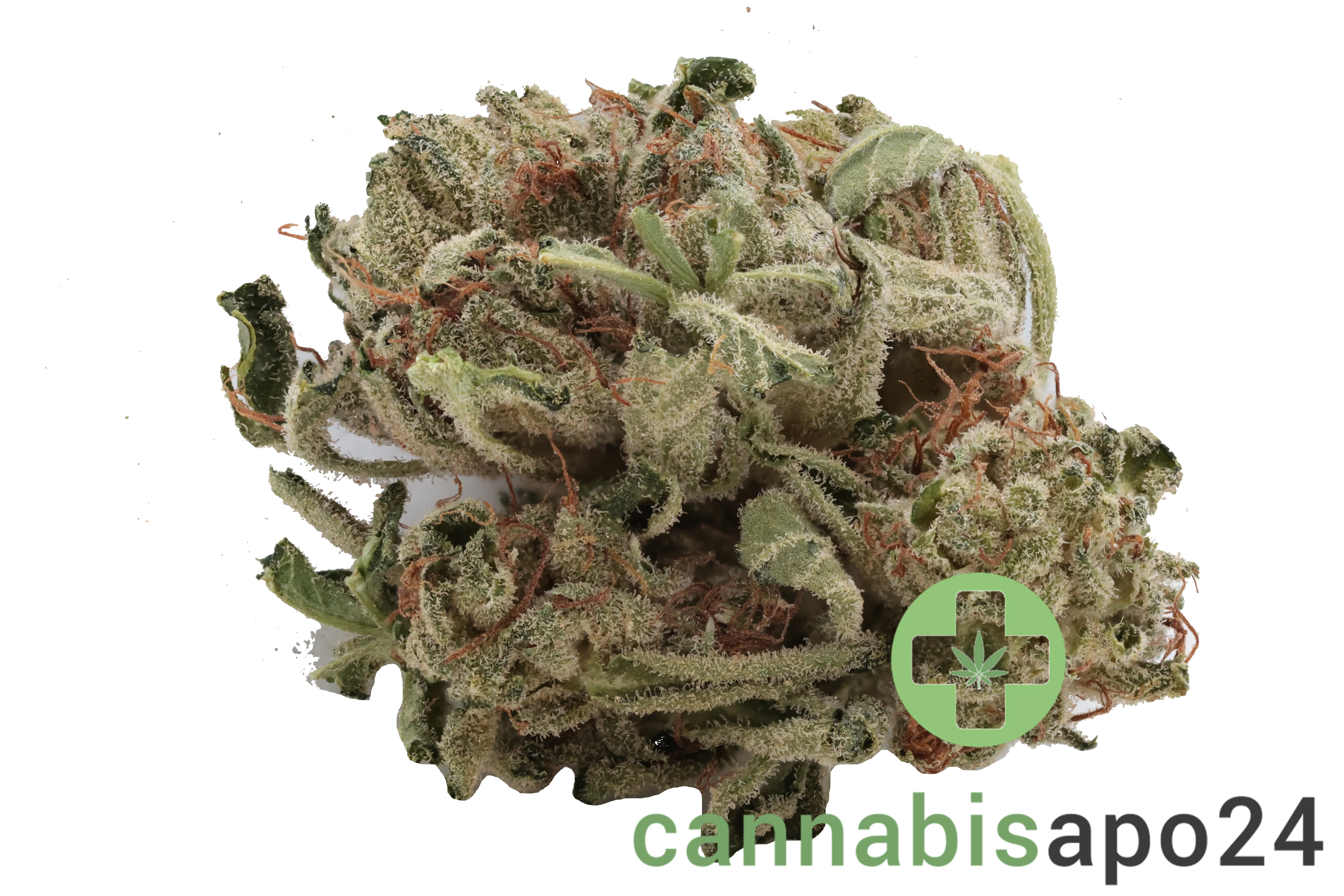 Tilray THC18 Spotlight Porto - Master Kush