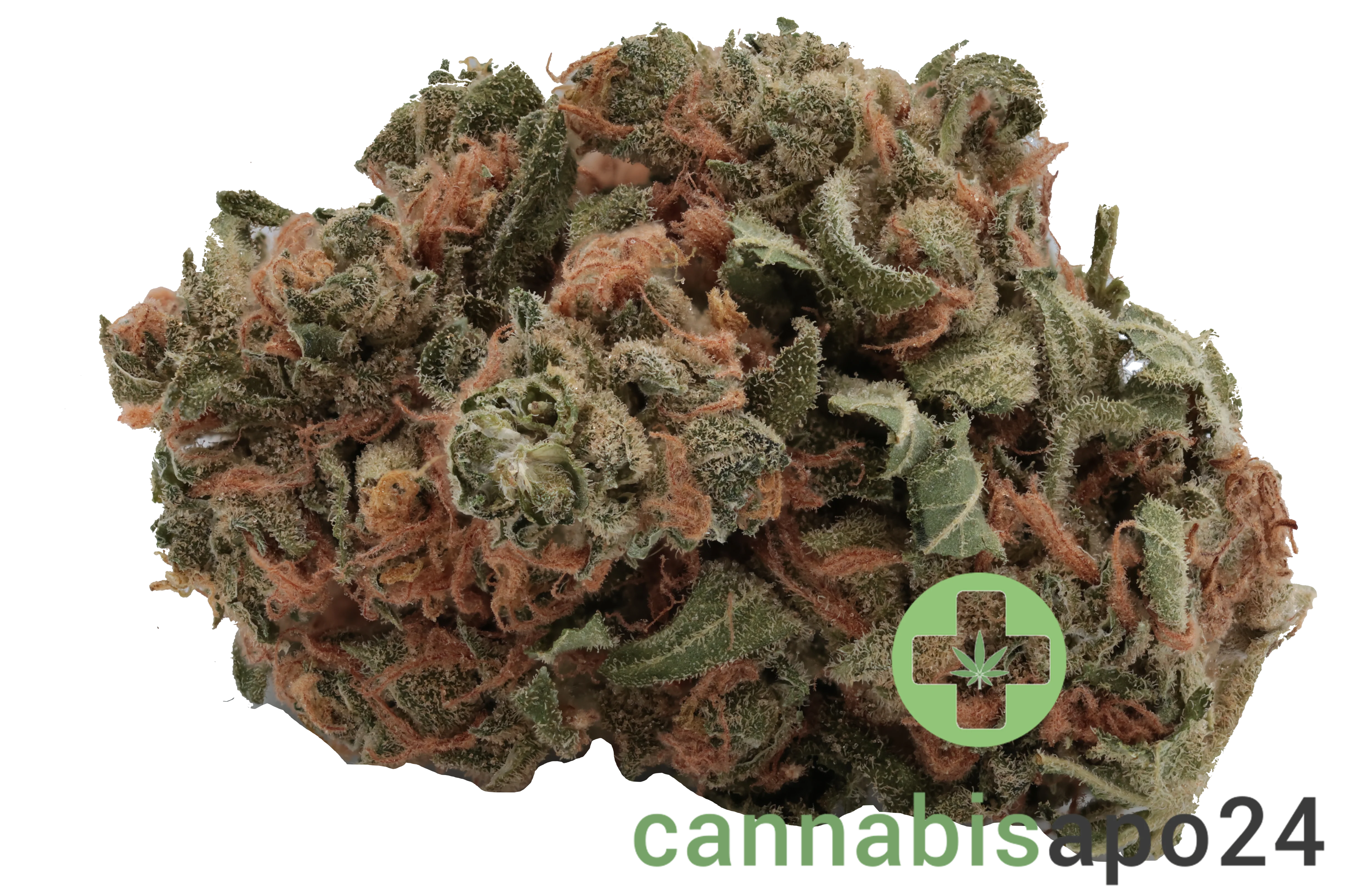 Tilray THC15 Spotlight Porto - Girl Scout Cookies