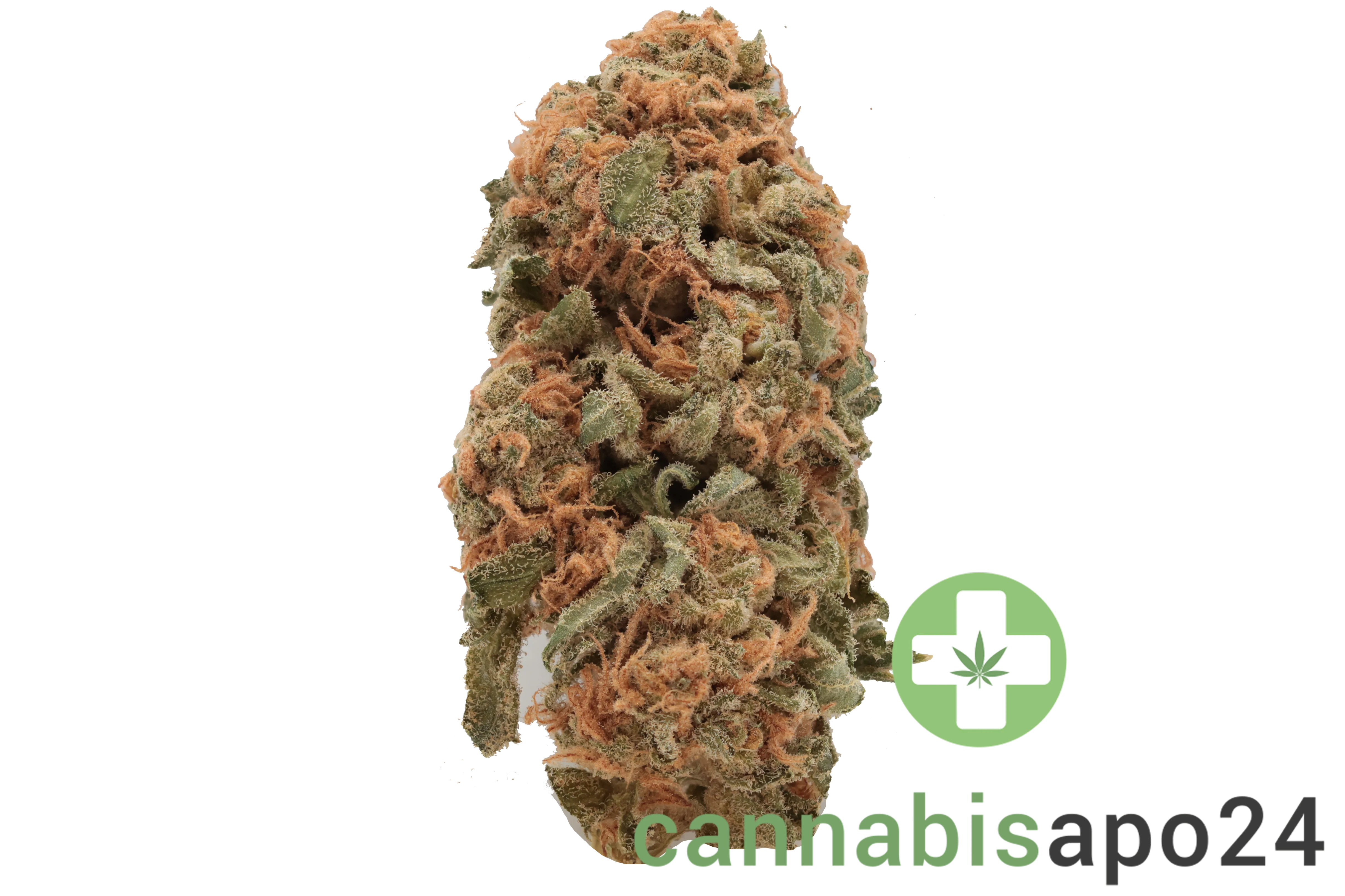 Tilray THC15 Spotlight Porto - Girl Scout Cookies - Image 2