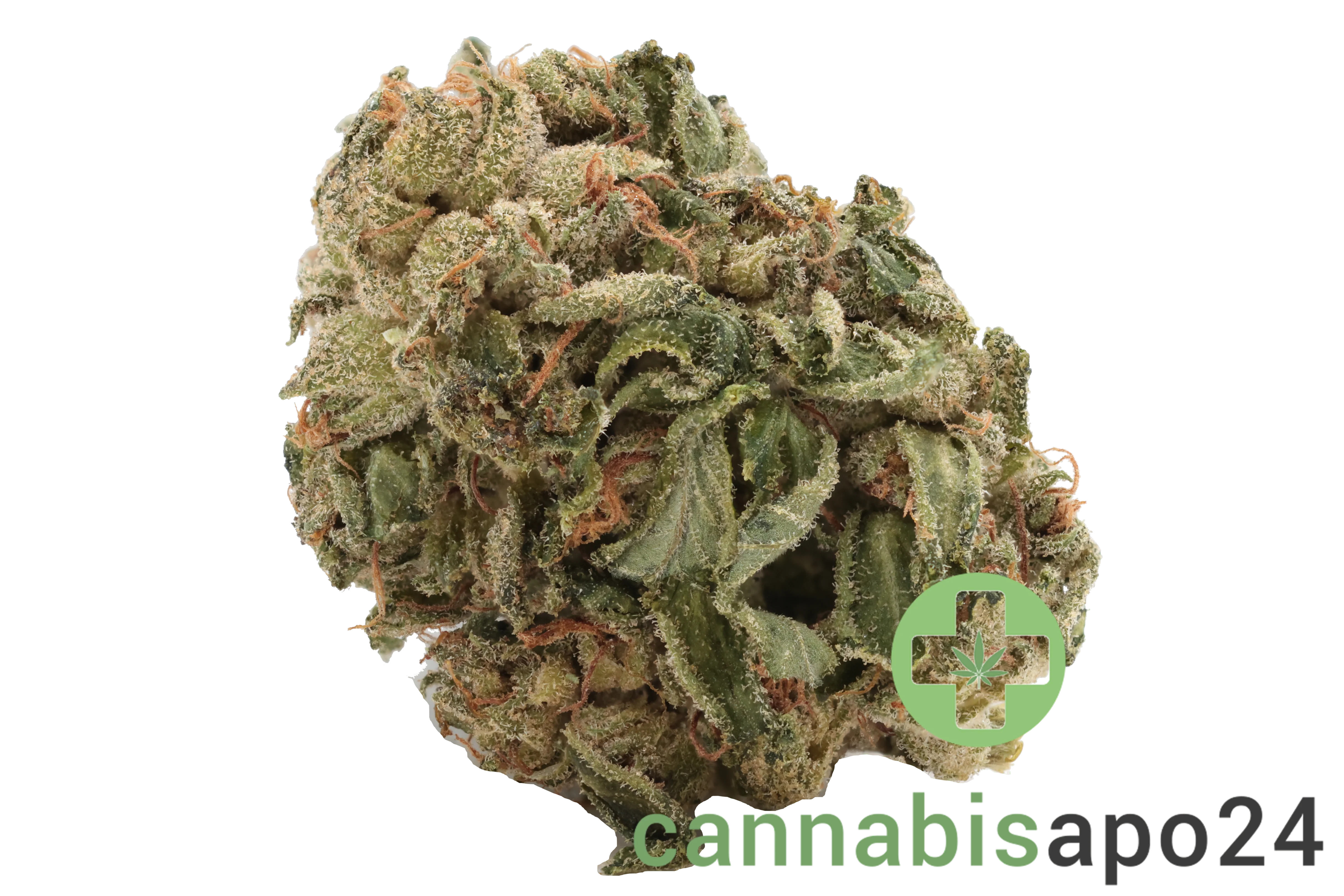 Tilray THC15 Spotlight Porto - Master Kush