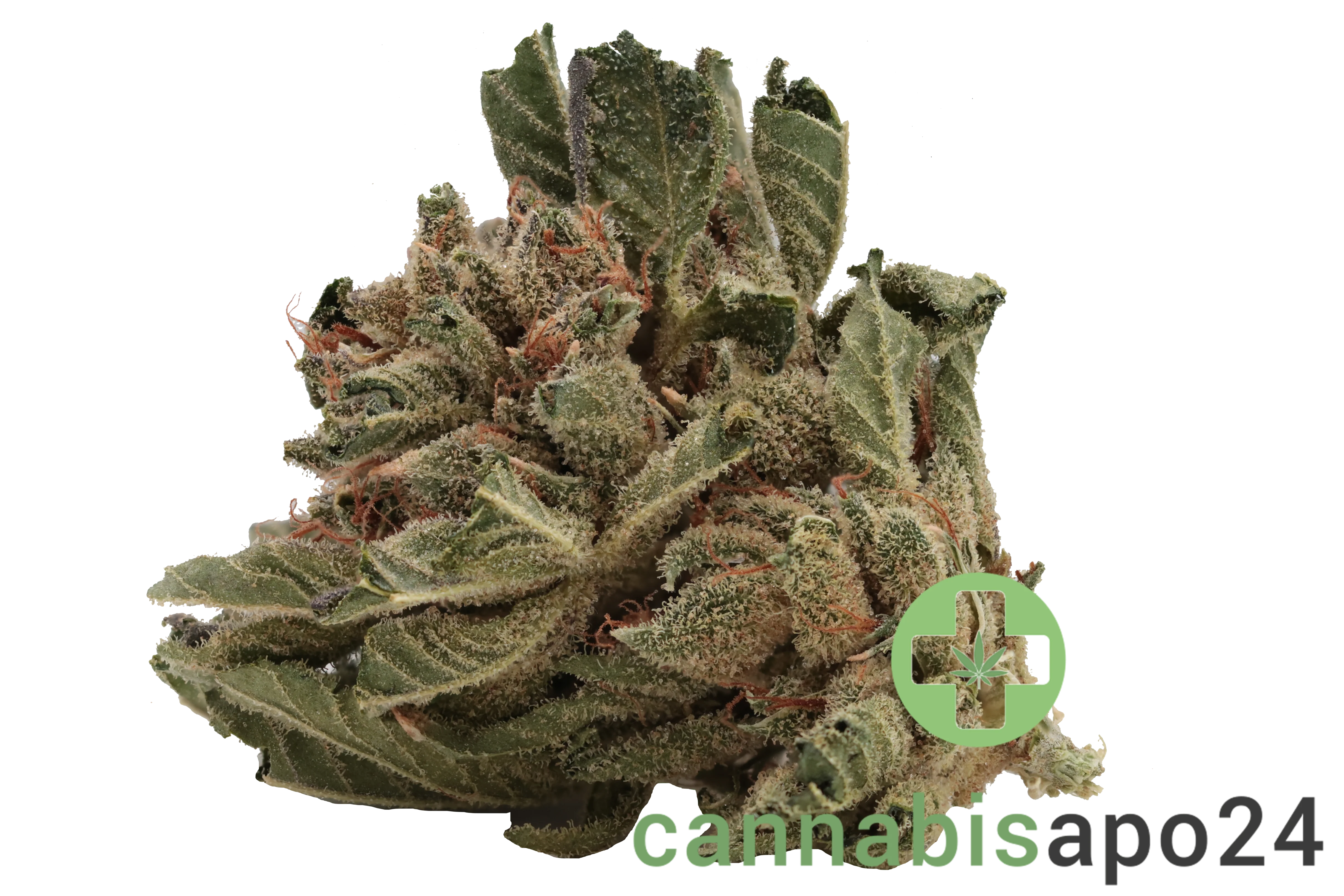 Tilray THC15 Spotlight Porto Sirius