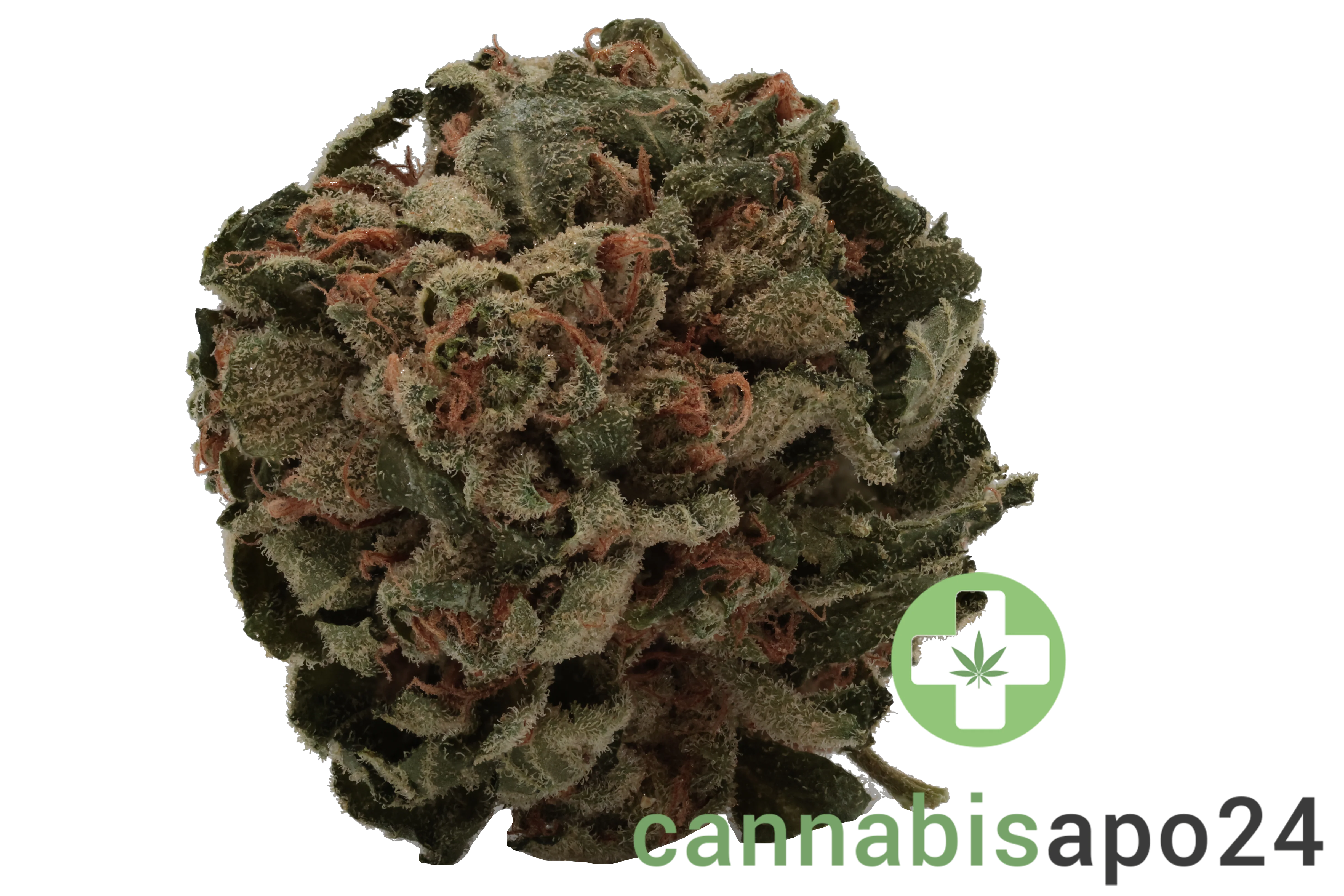 Tilray THC18 Spotlight Porto -  Galaxy Walker OG