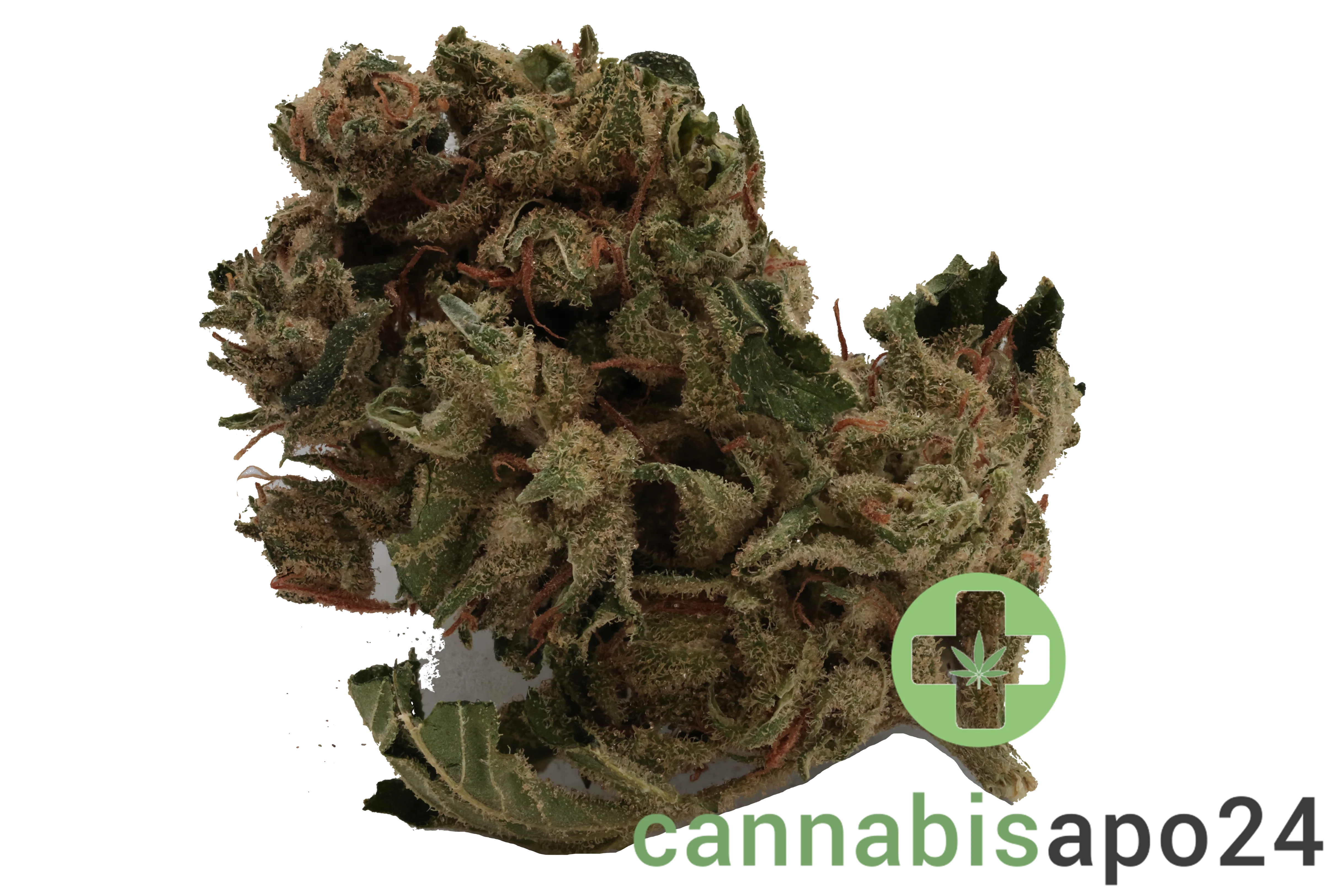 Tilray THC18 Spotlight Porto - Island Sweet Skunk