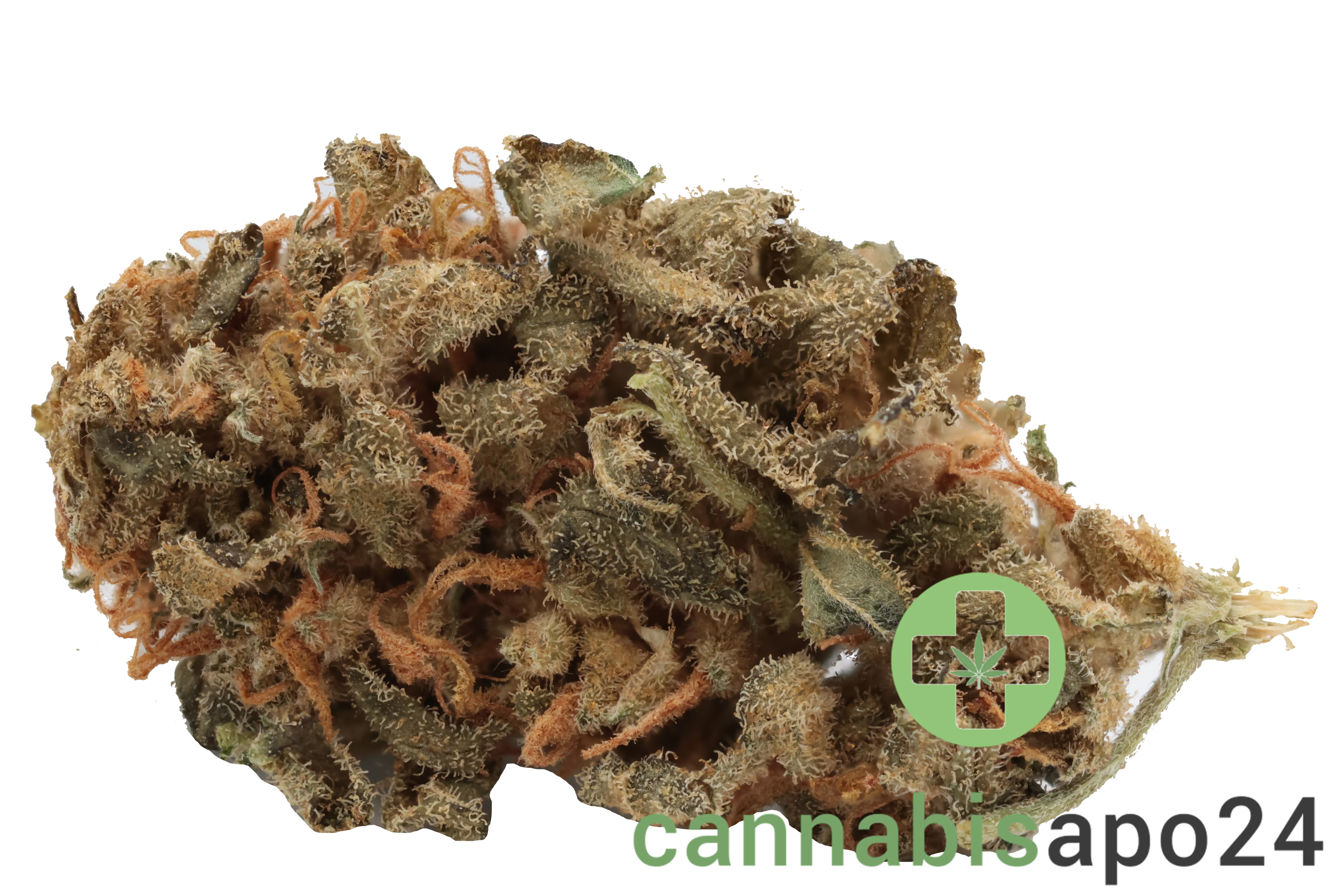 Tilray THC18 Spotlight Porto - Jean Guy