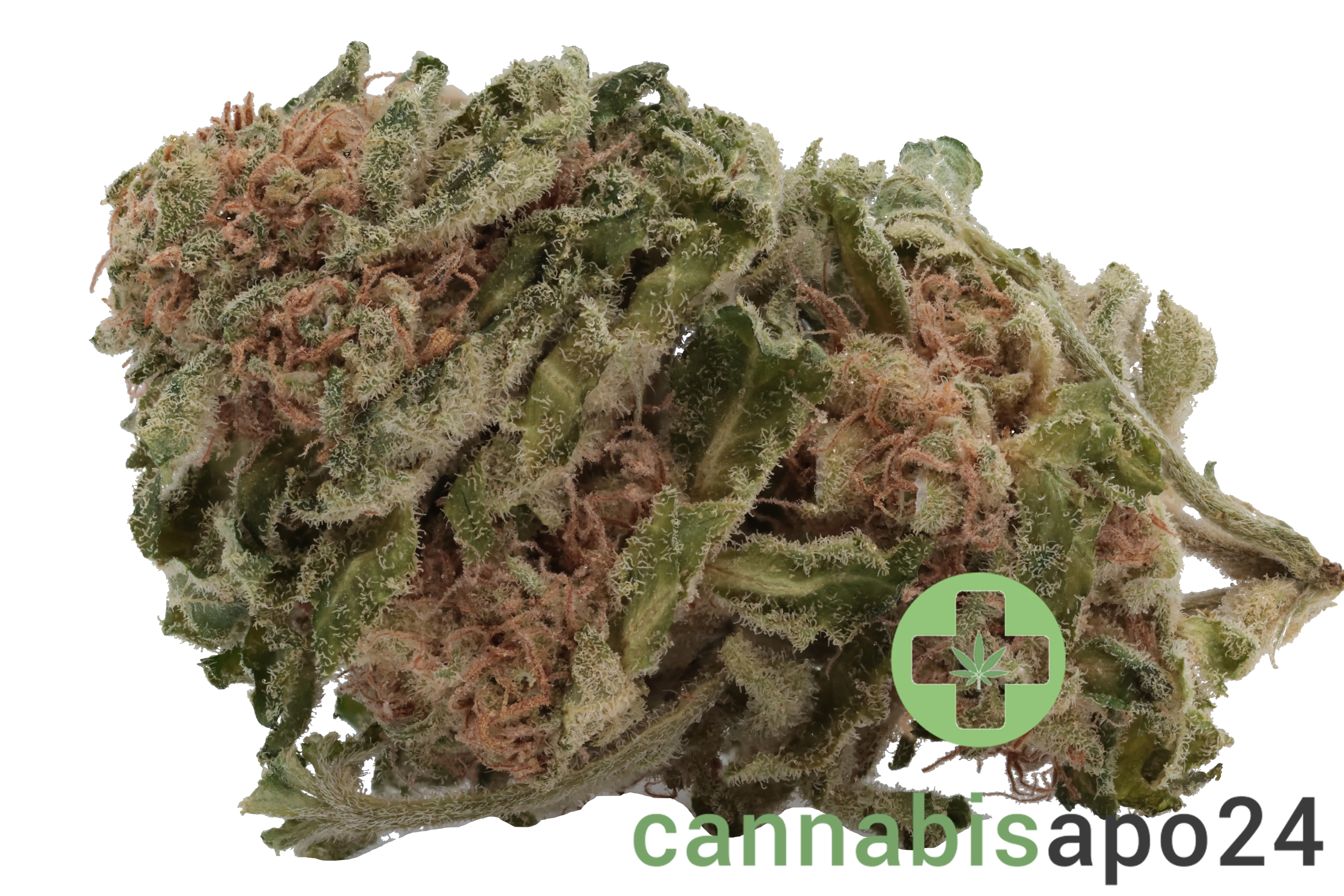 Tilray THC18 Spotlight Porto - White Widow