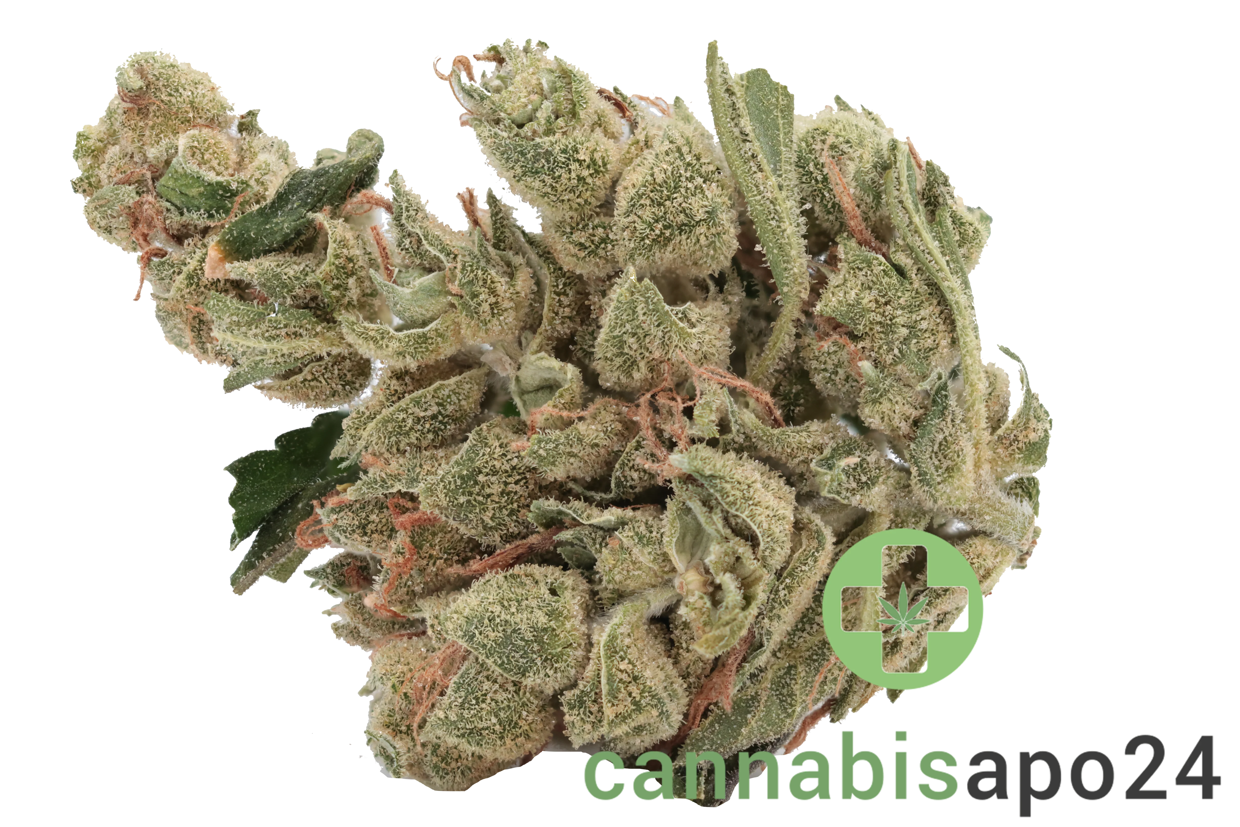 Tilray THC22 Spotlight Porto - Sour Diesel