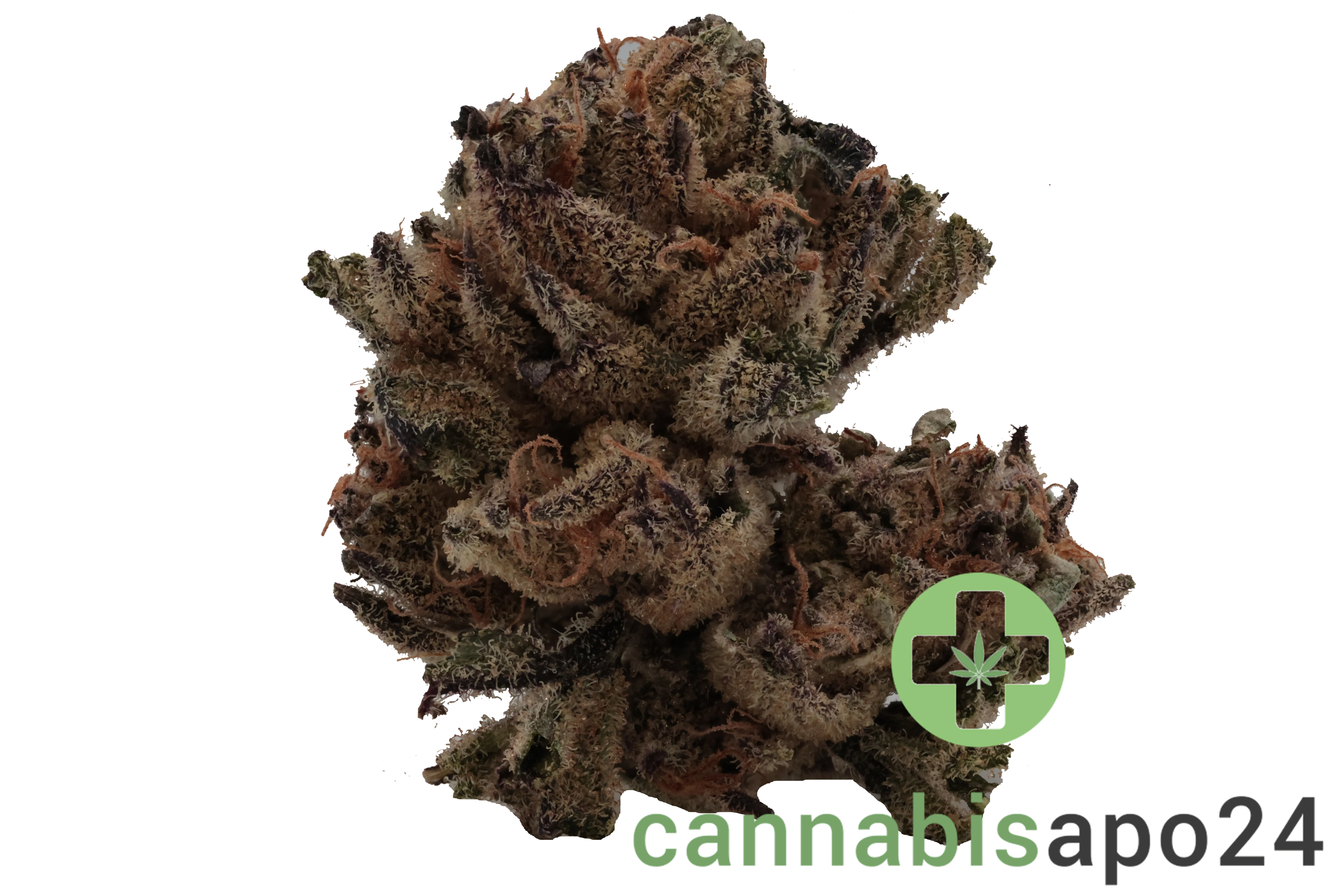 Tilray THC22 Spotlight Porto Biscuit RNTZ