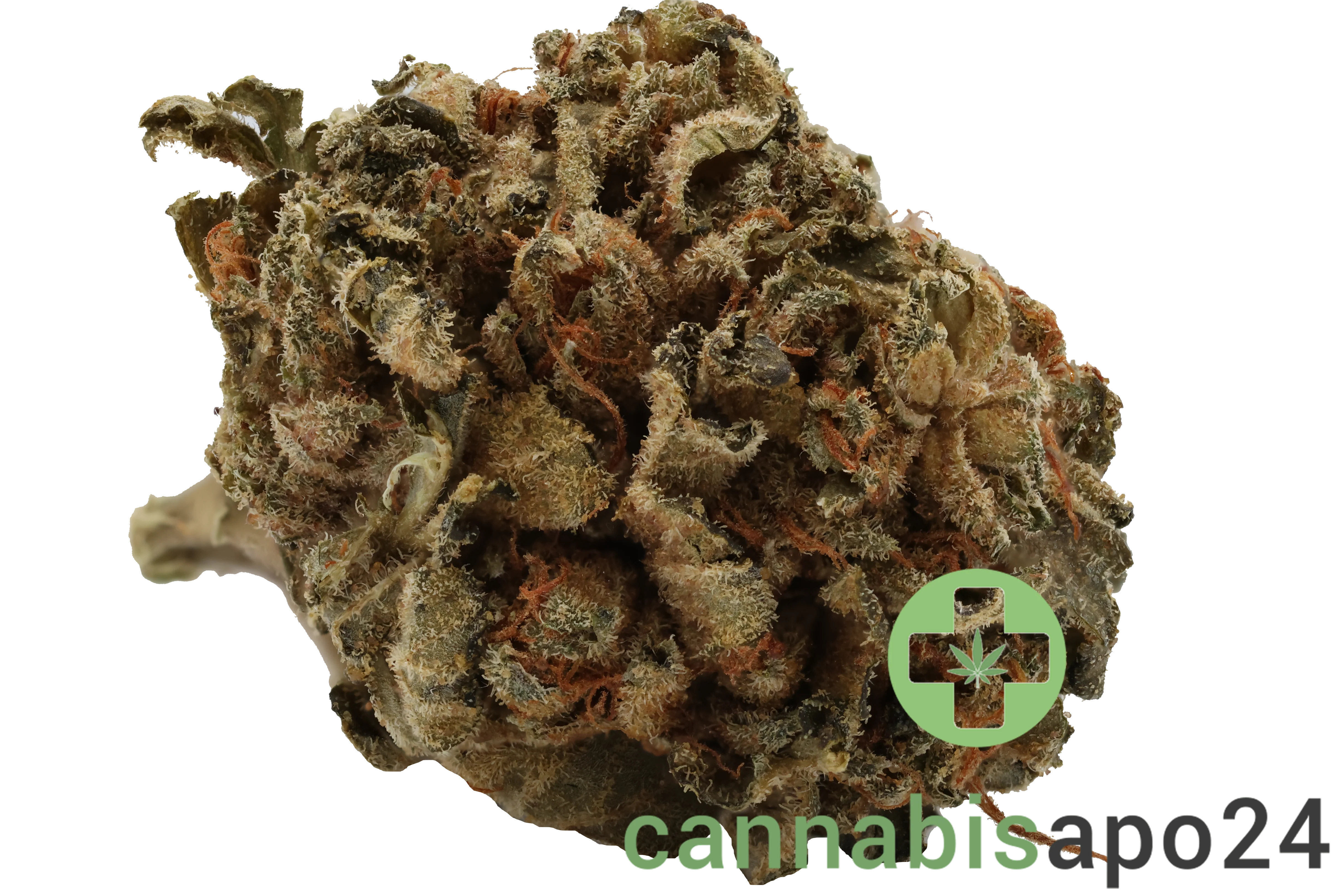 Tilray THC22 Spotlight Porto -  Galaxy Walker OG