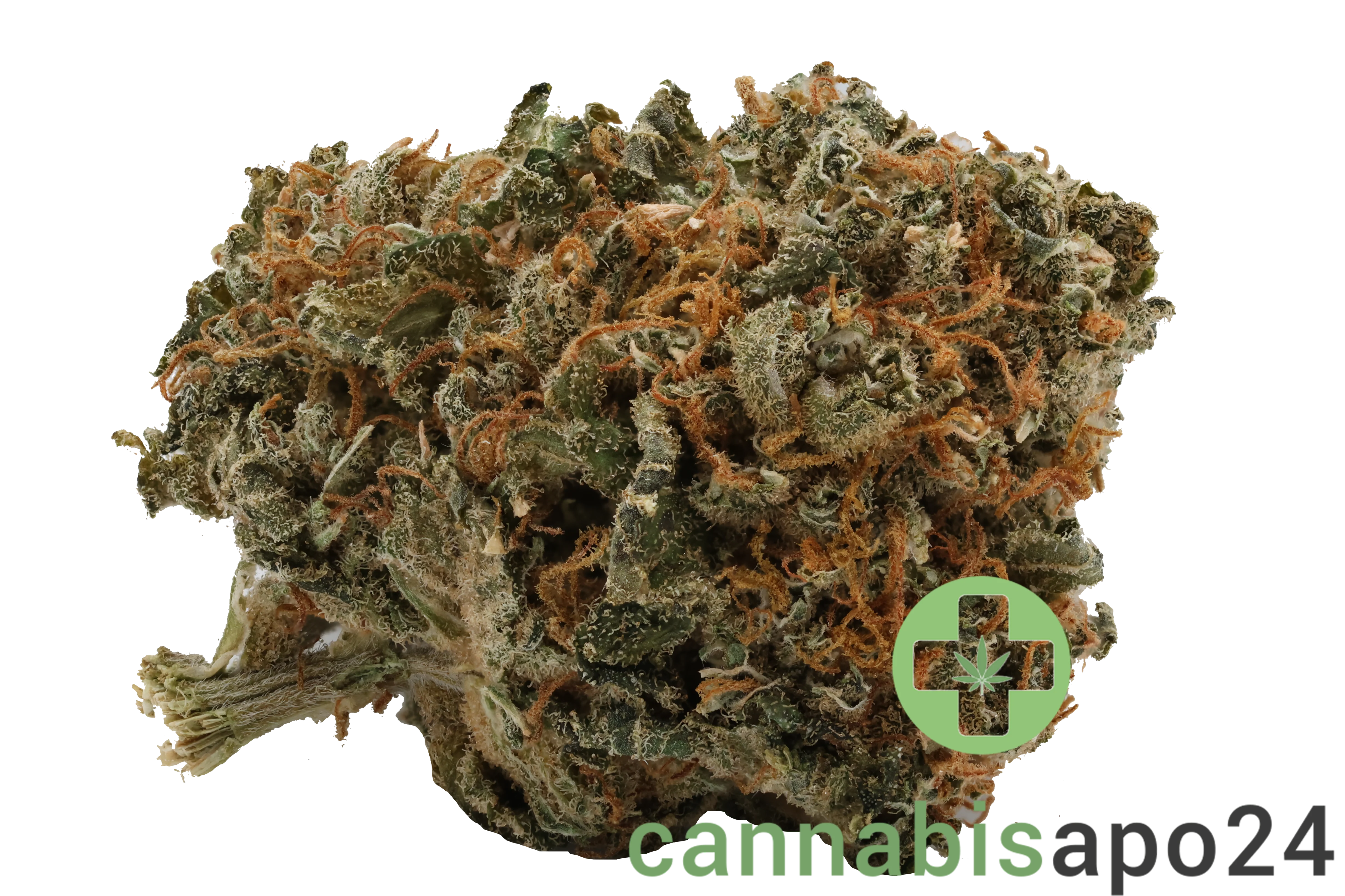 Tilray THC22 Spotlight Porto - Jack Herer