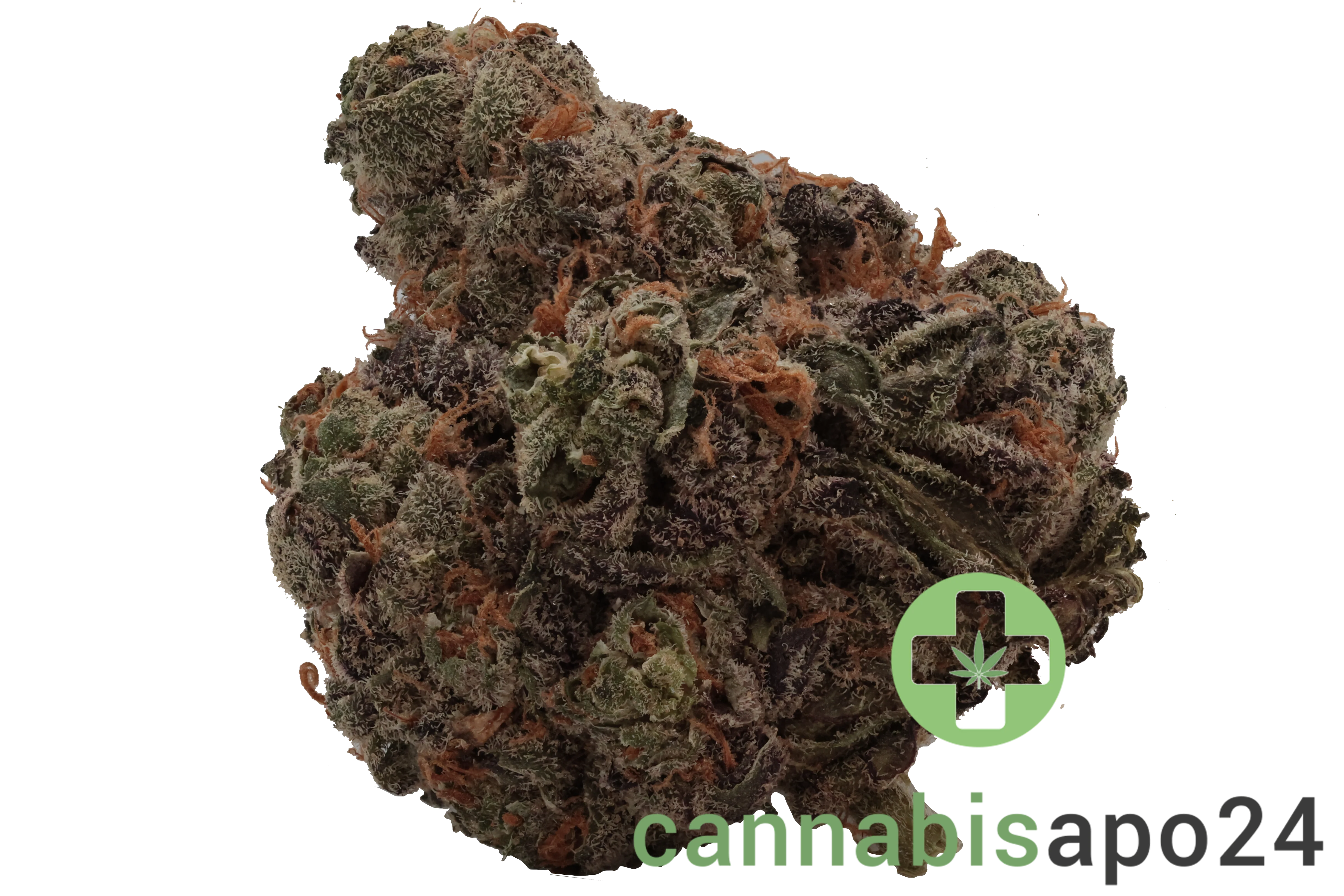 Tilray THC22 Spotlight Porto King Sherb