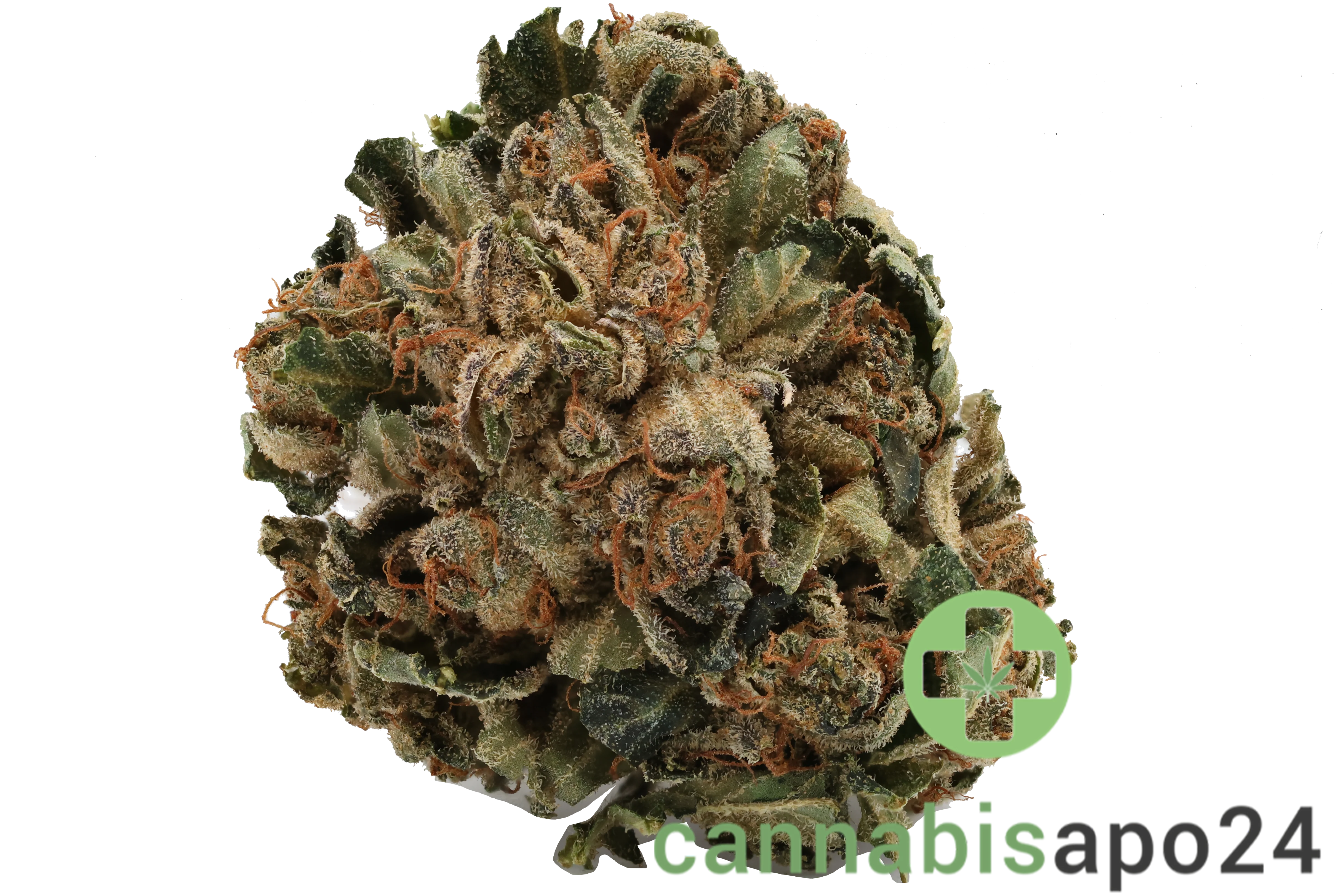 Tilray THC22 Spotlight Porto Purps
