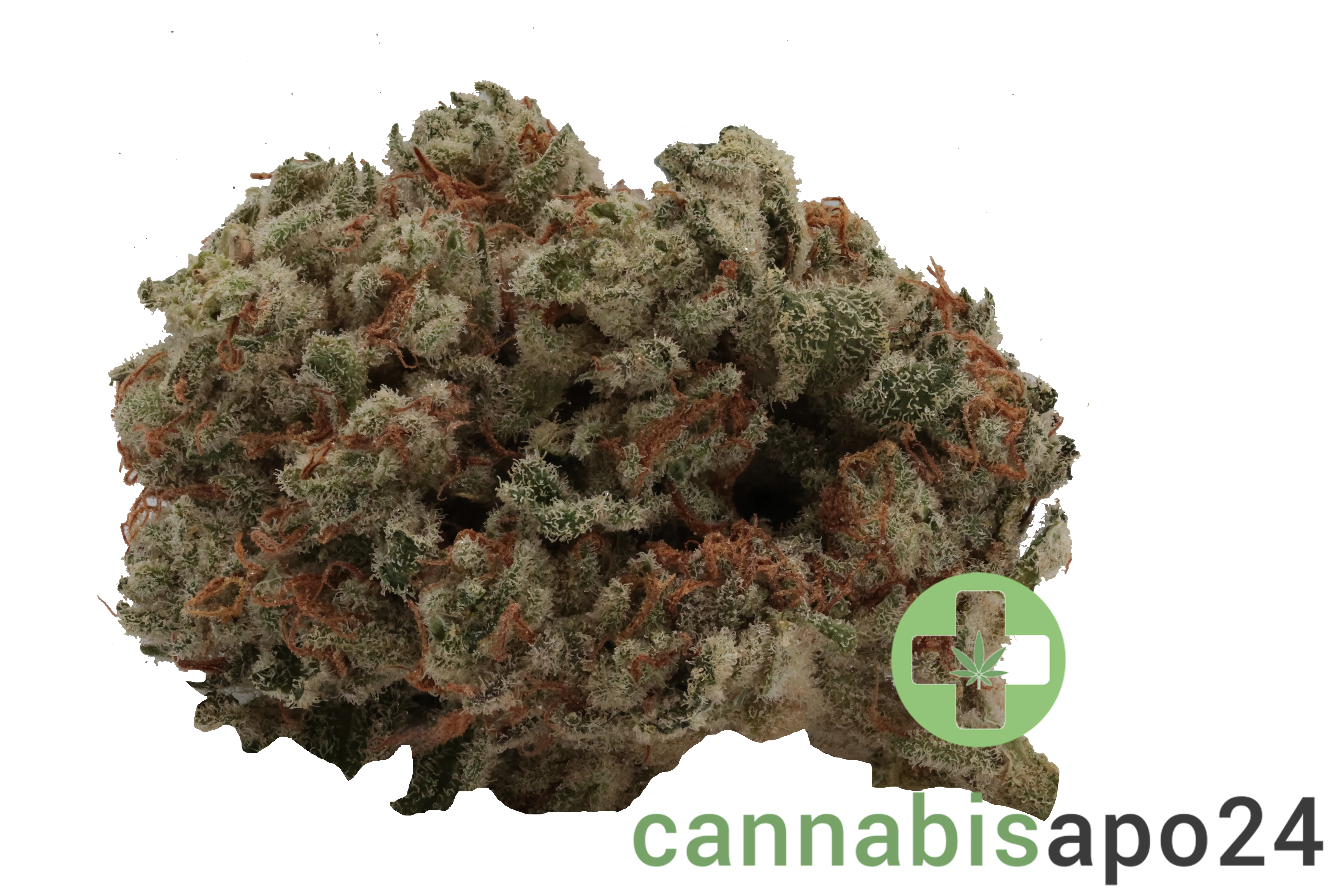 Tilray THC22 Spotlight Porto Wappa