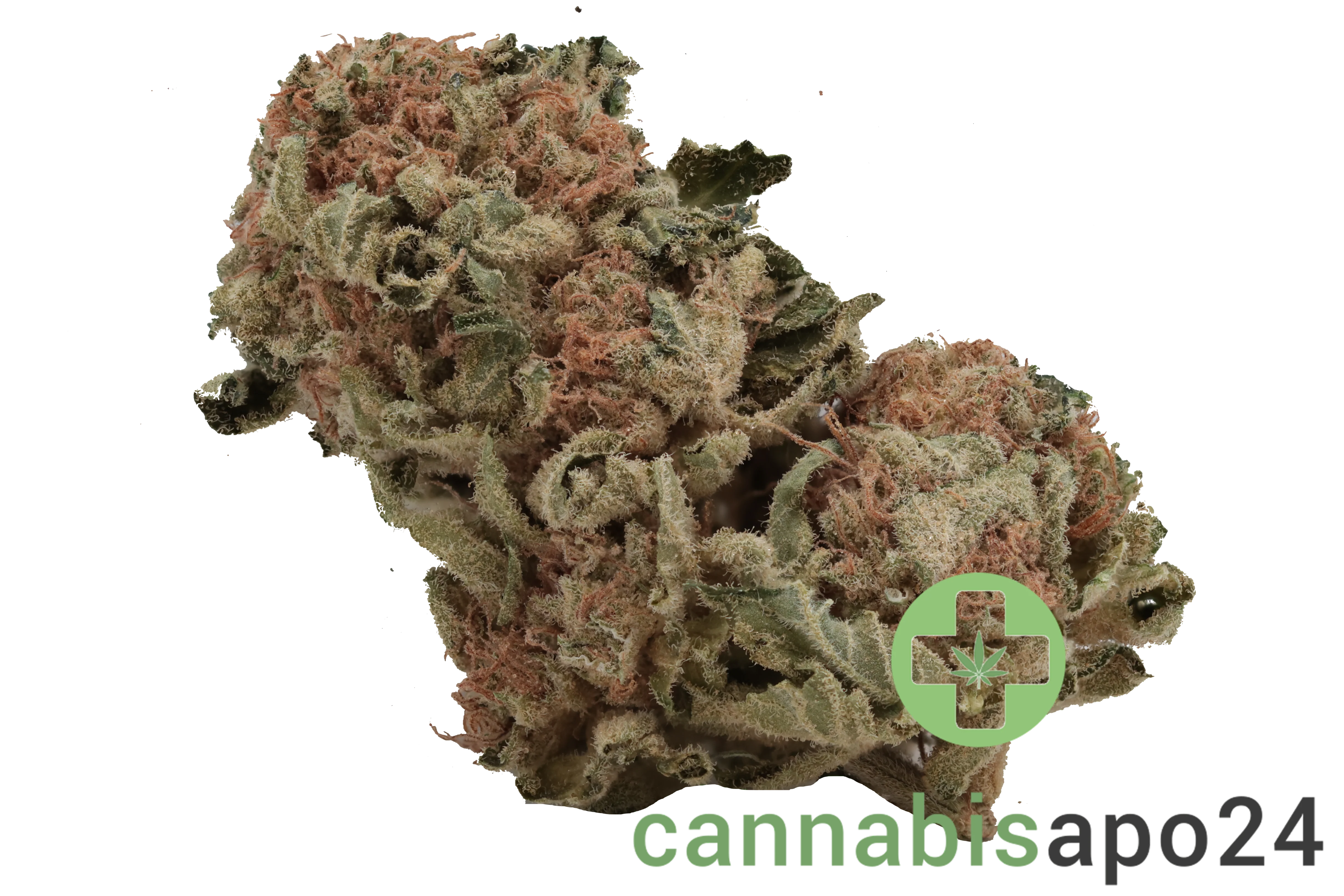 Tilray THC22 Spotlight Porto - White Widow
