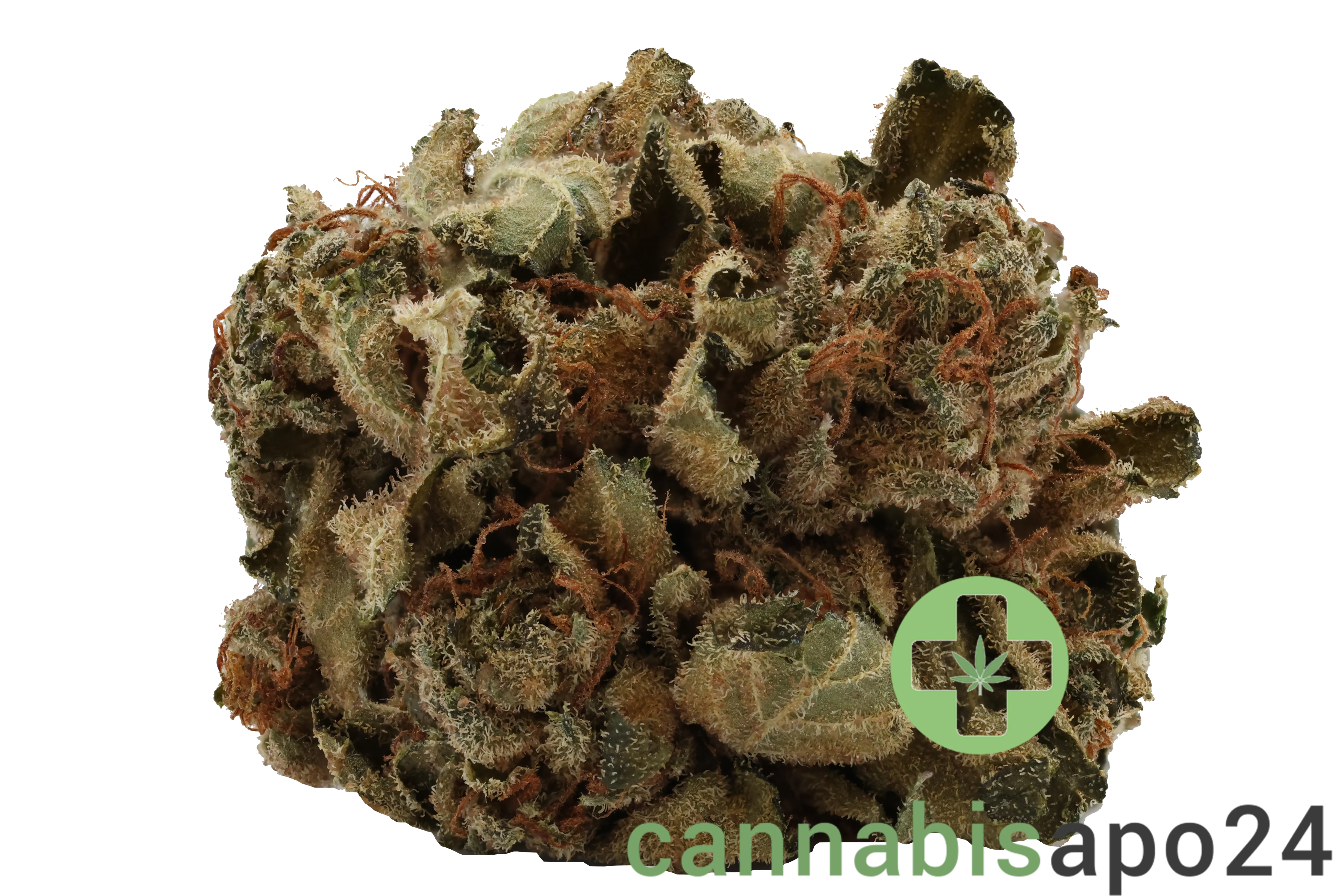 Tilray THC22 Spotlight Porto - Rockstar