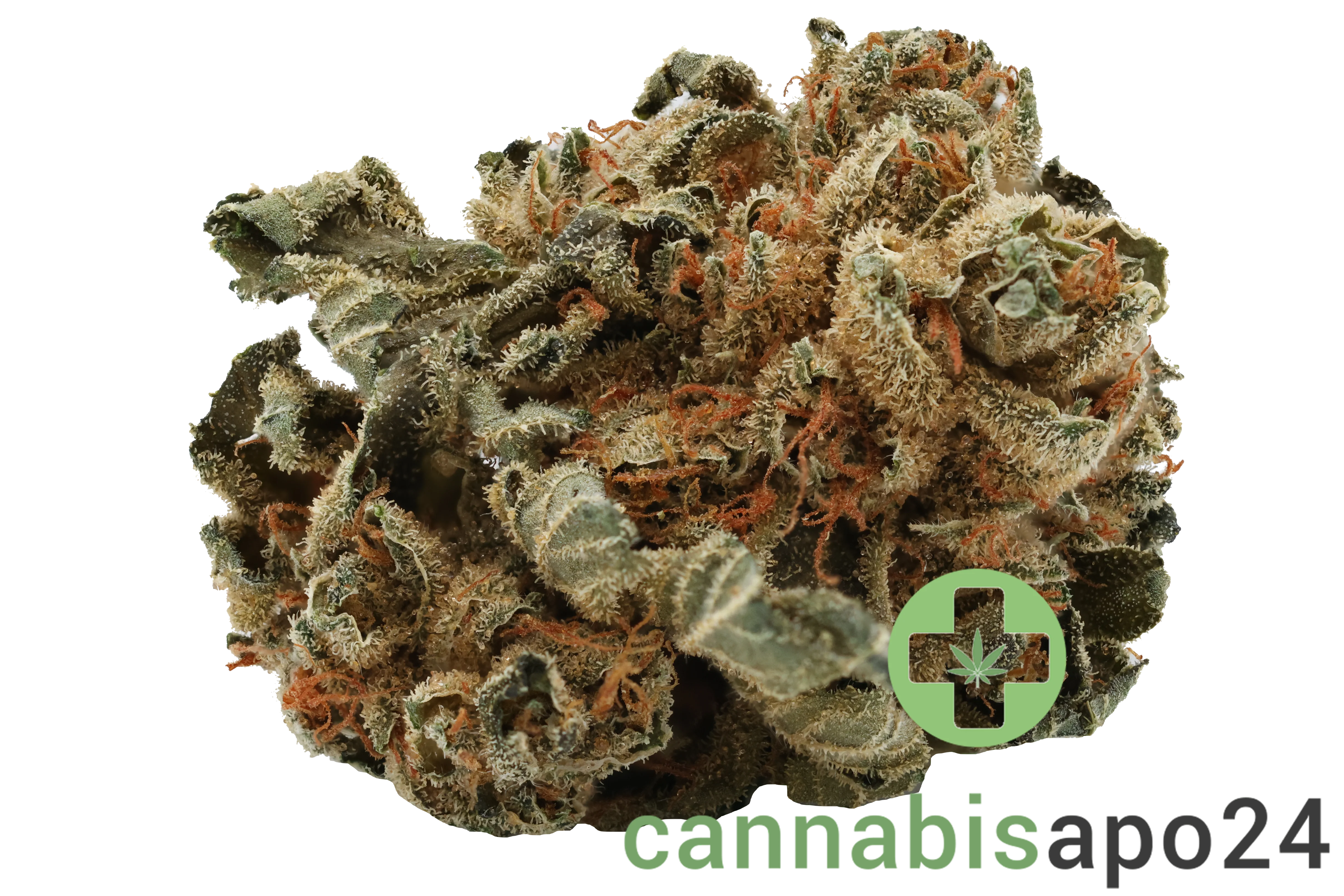 Tilray THC25 Spotlight Porto Mango