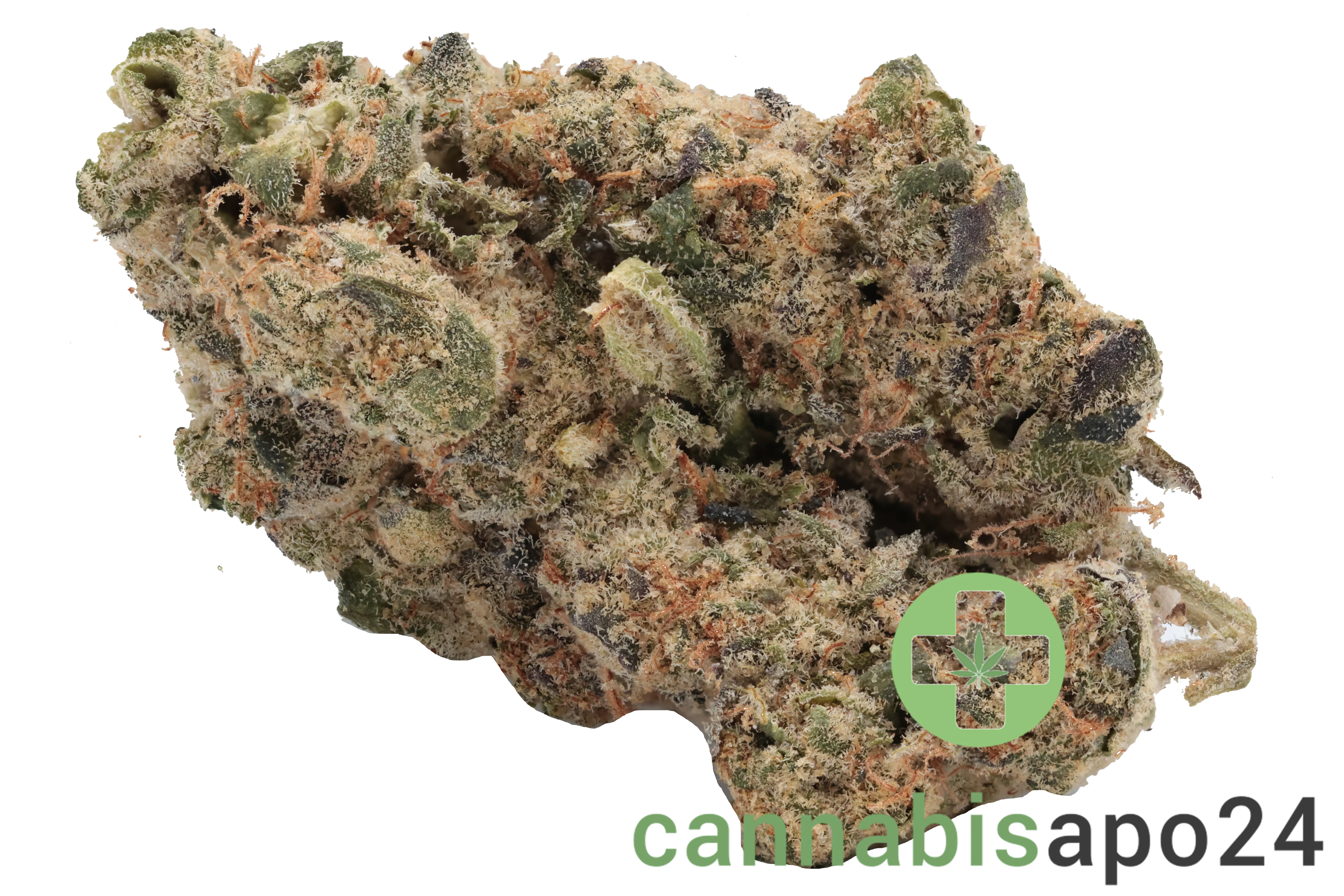 Top Shelf Medical S1E1-27
