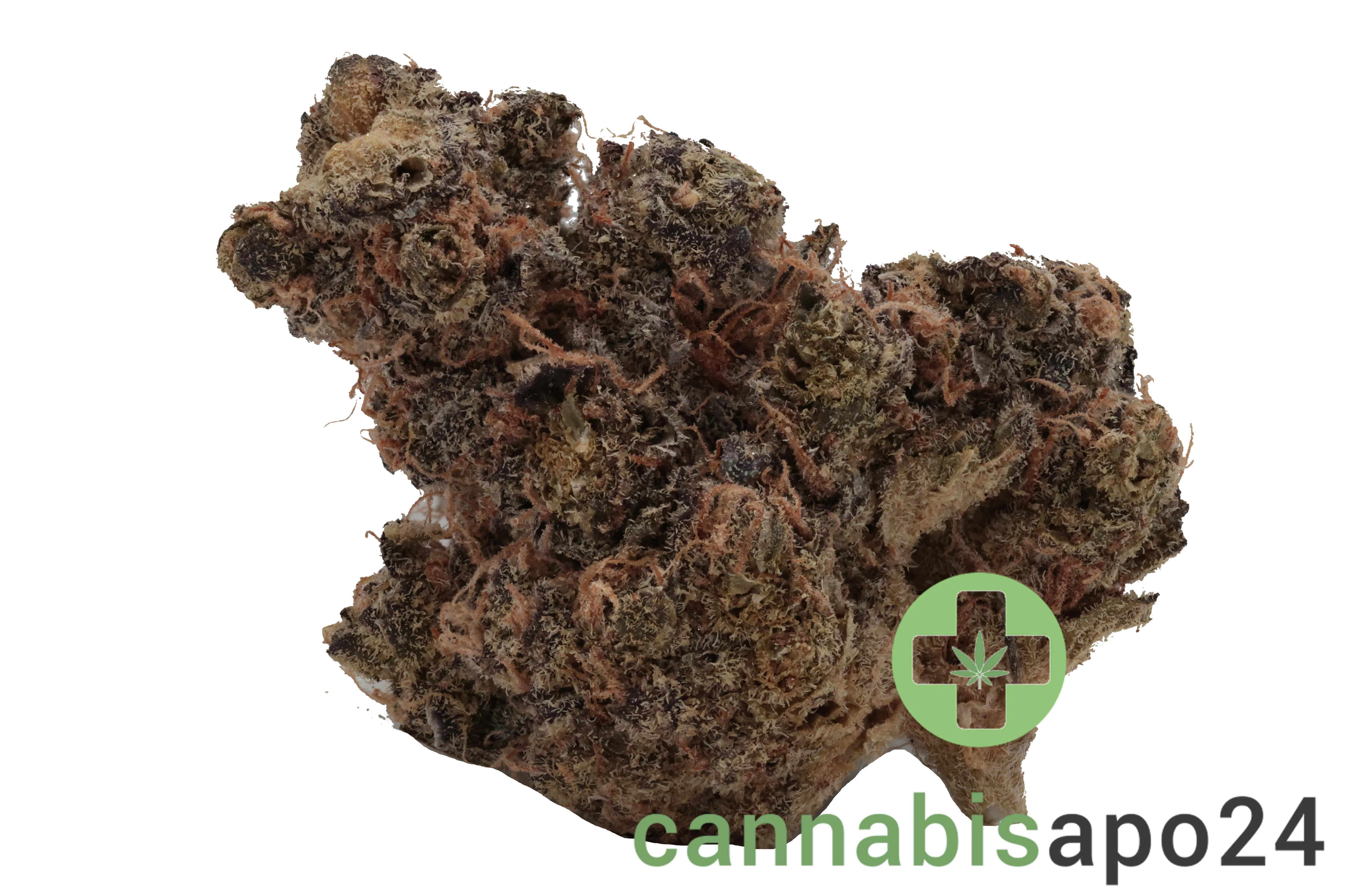 Top Shelf Medical S1E2 Oasis OG