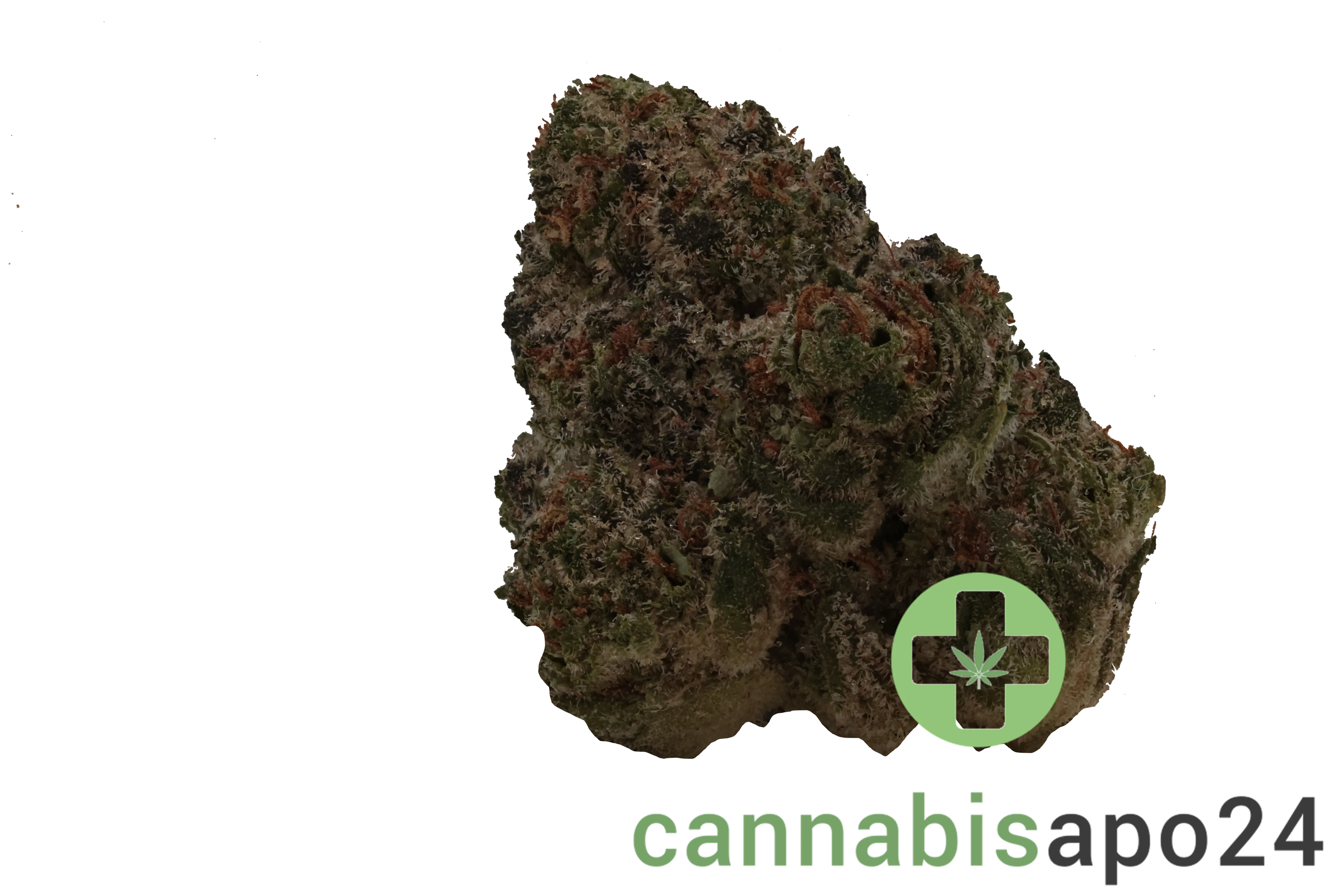TRUU GT 22:01 Crumble Lime