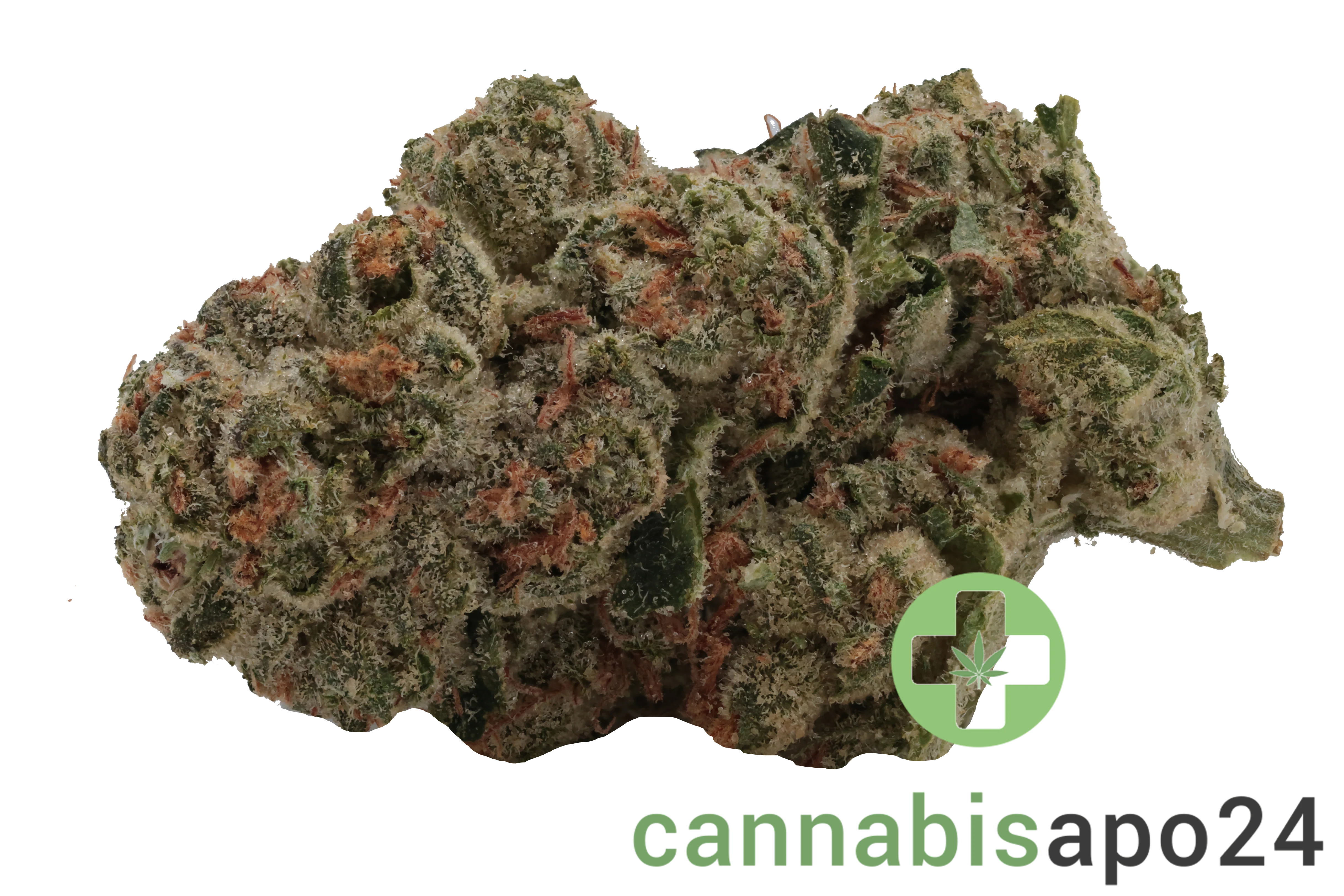 TRUU GT 31:01 Kush Cookies