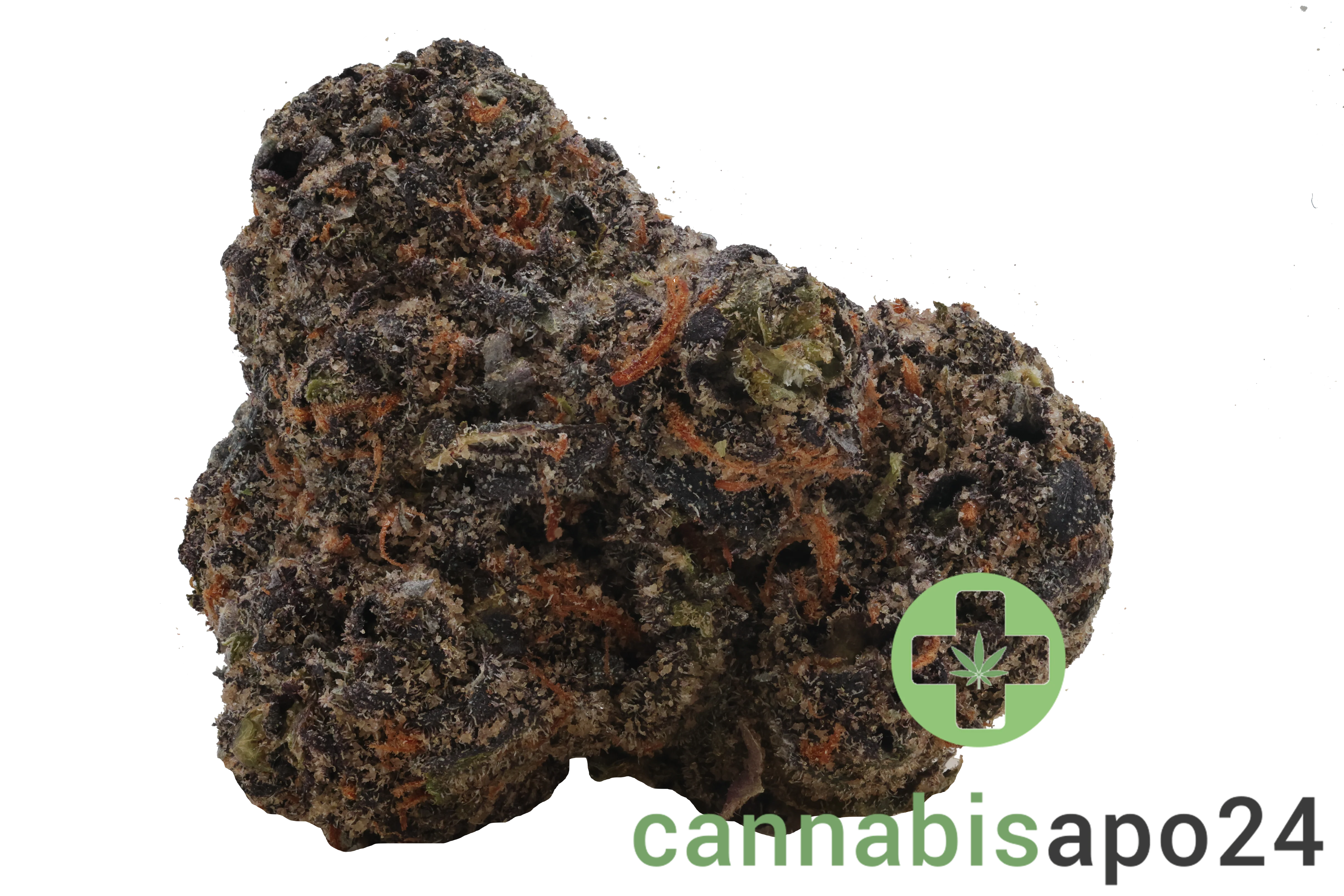 Vasco x Cipher BB Blueberry Banana