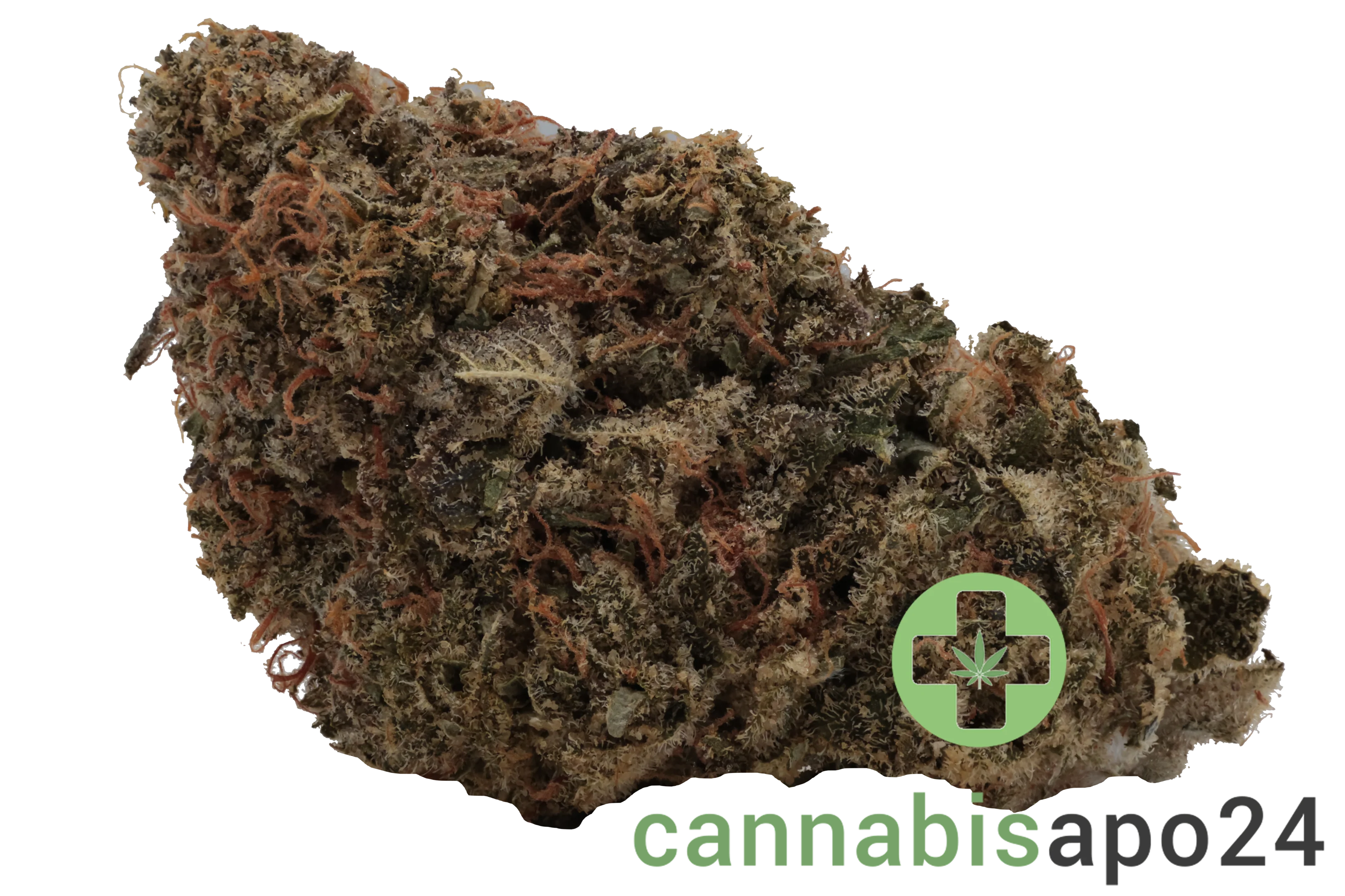 Wellford Aquaponic 23/1 PIK Pink Kush
