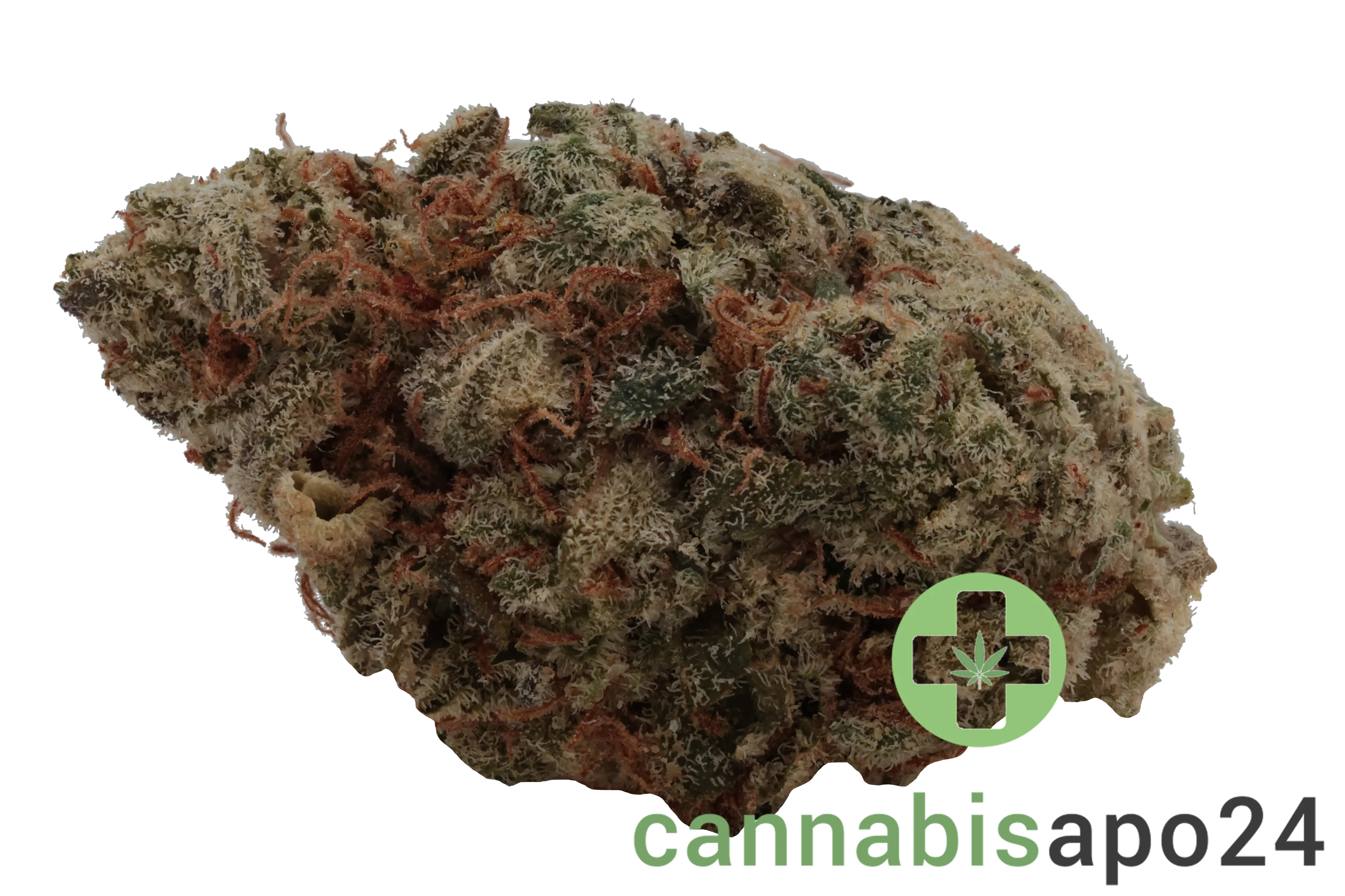 Wellford Aquaponic 24/1 SDK Sensi Double Kush