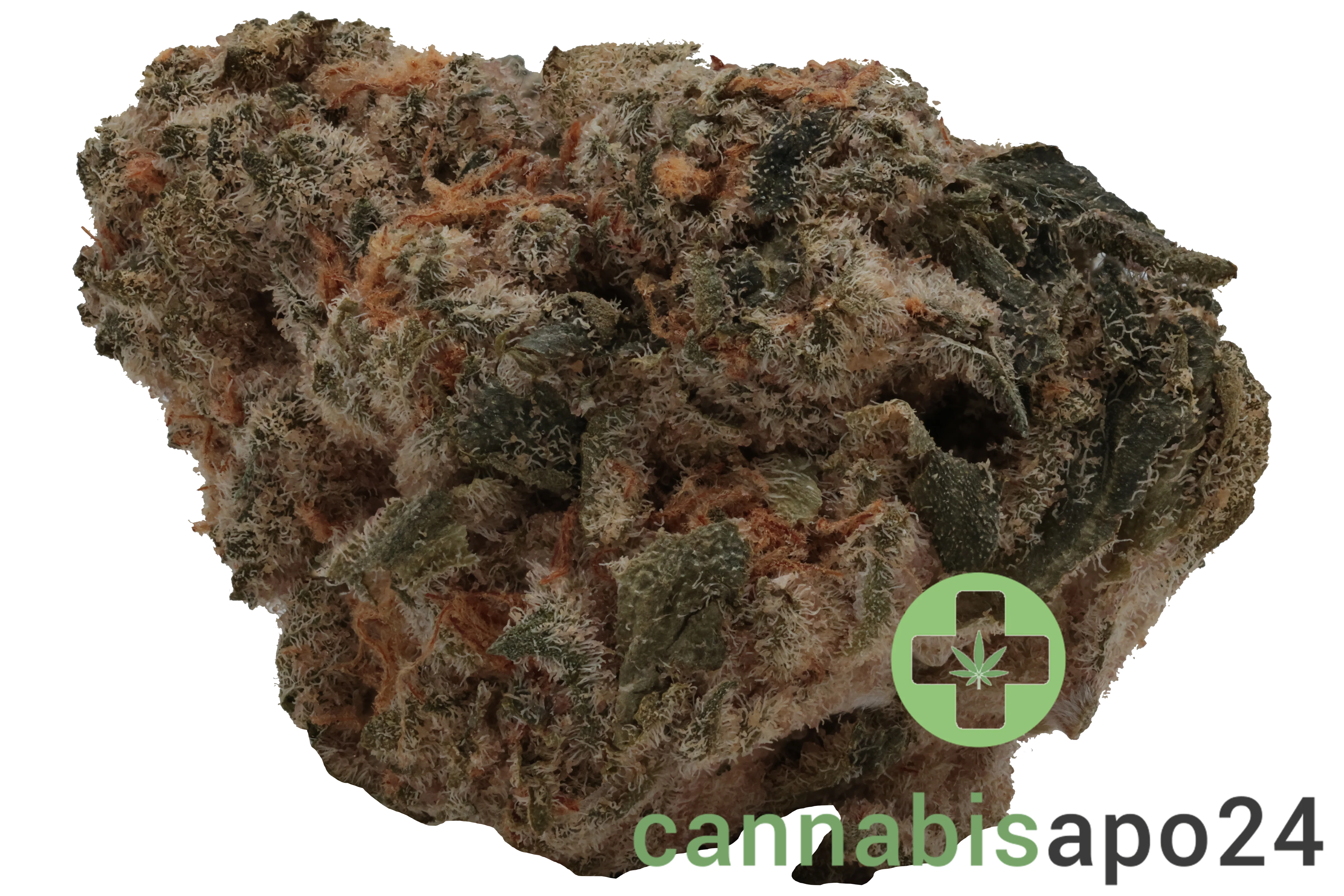Wellford Peak CA PKM 28/1 Pink Kush Mints