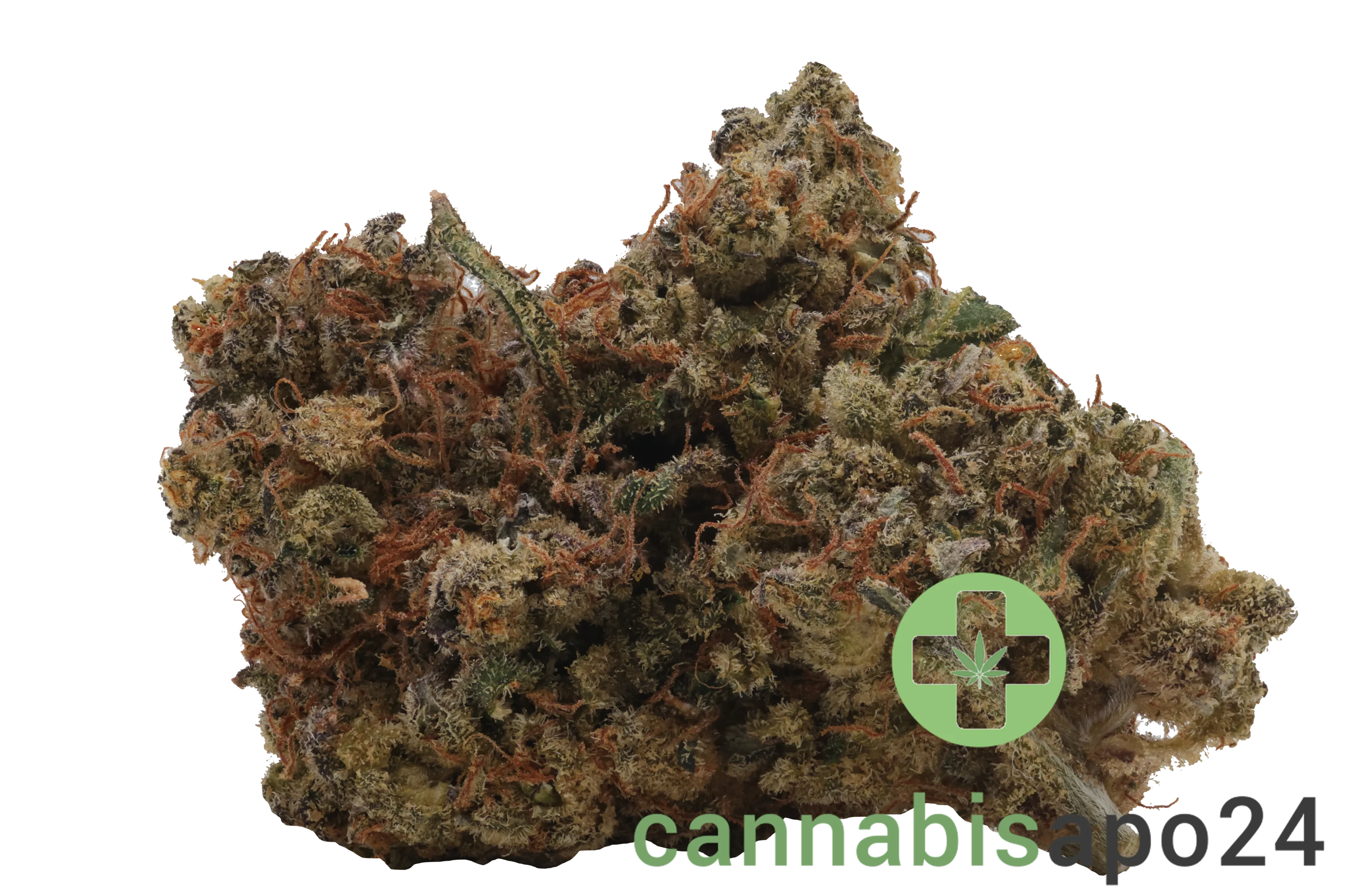 Wildlife 28 SCK CAN Sun County Kush