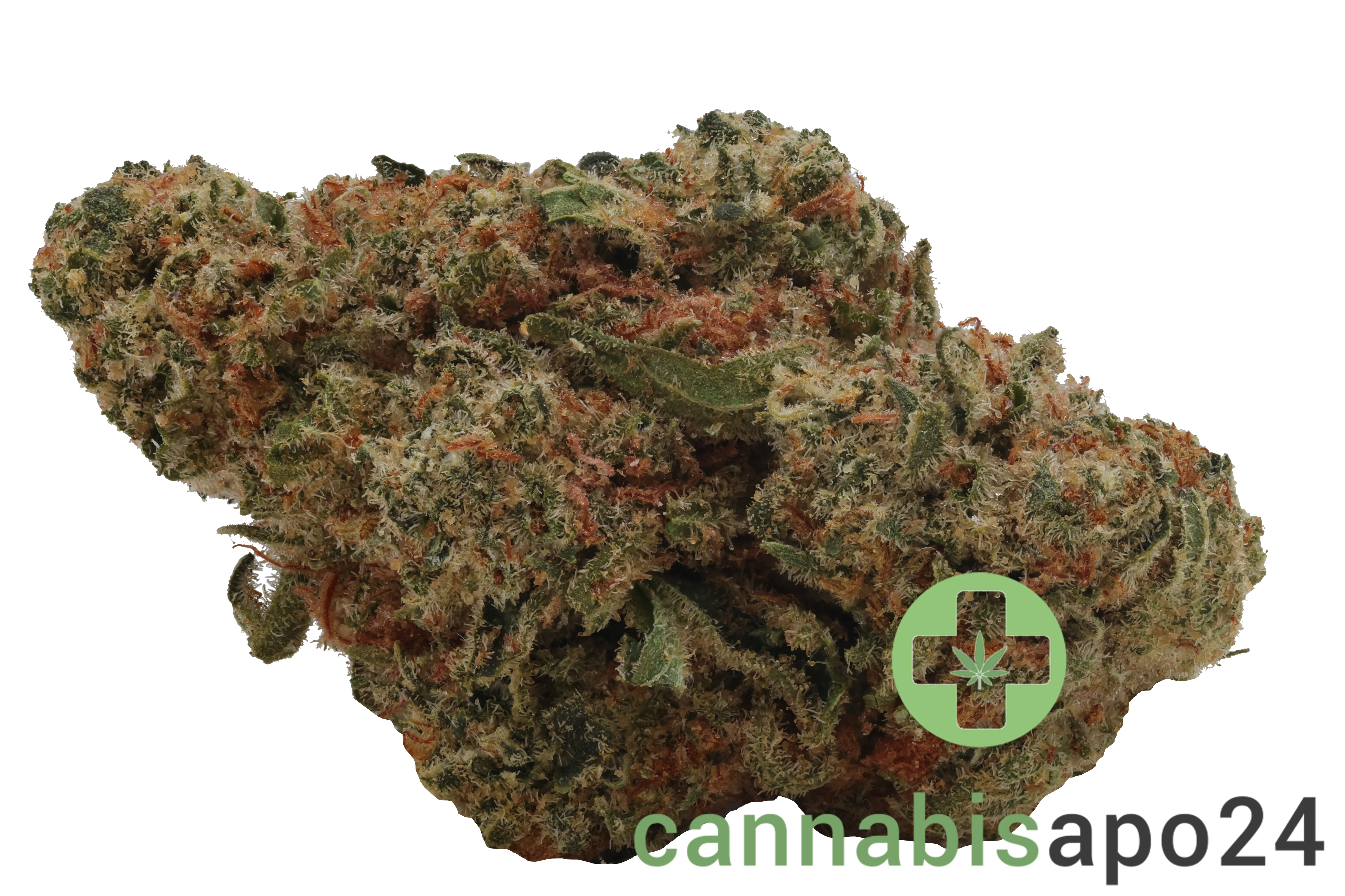 Zoiks 22/1 SLD Sun Lemon Diesel
